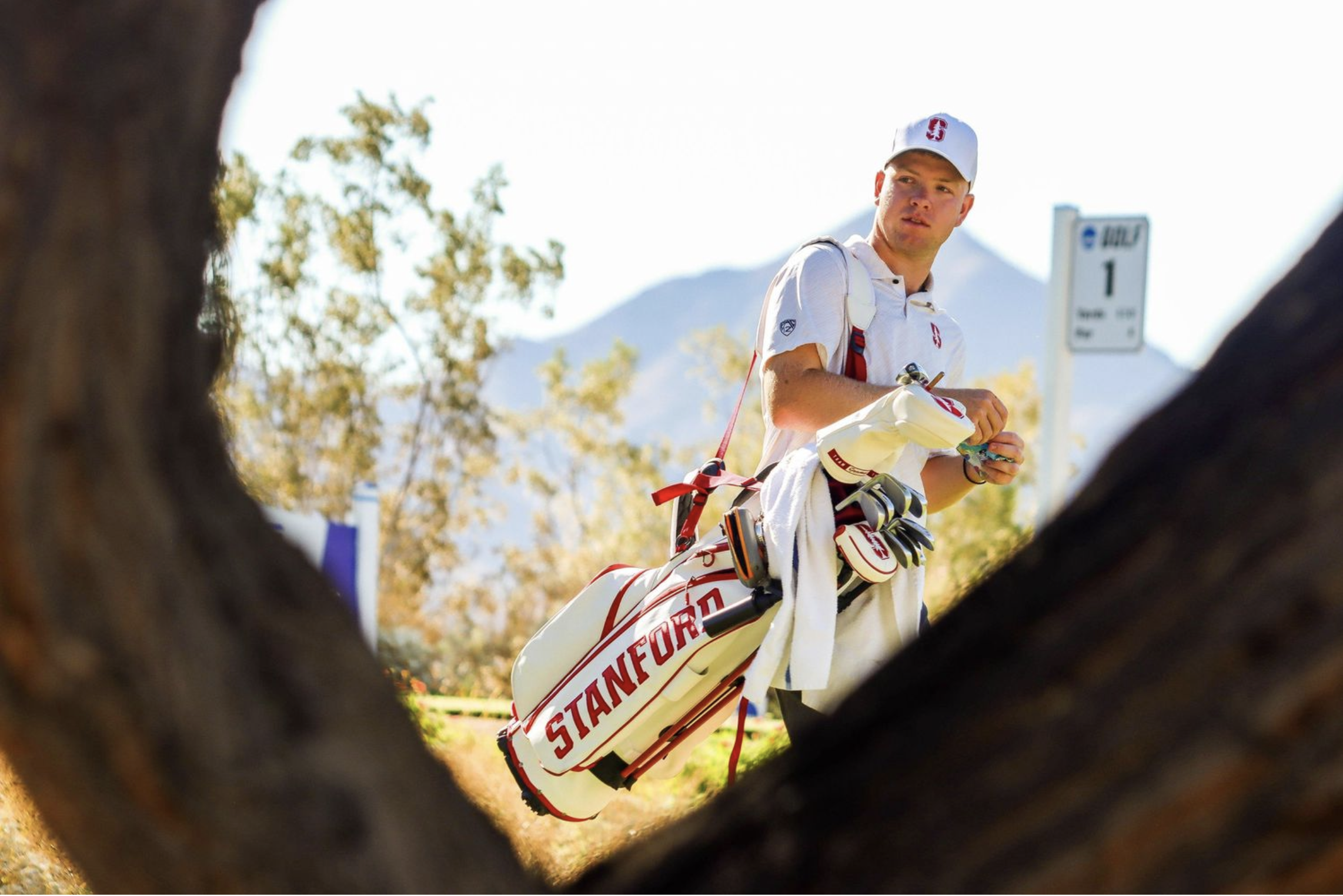 Screenshot 2024-07-08 at 12.26.55 AM.png