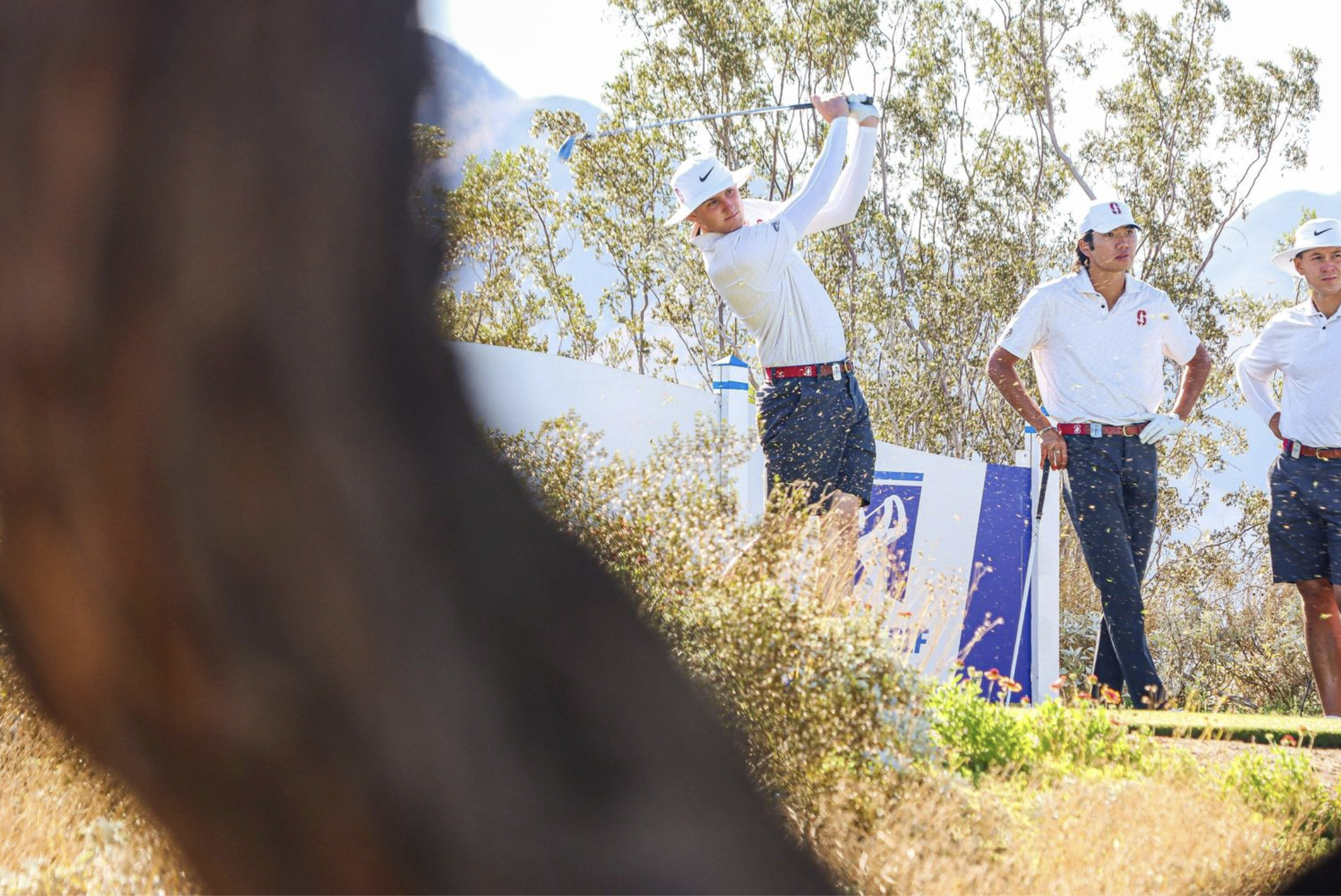 Screenshot 2024-07-08 at 12.26.50 AM.png