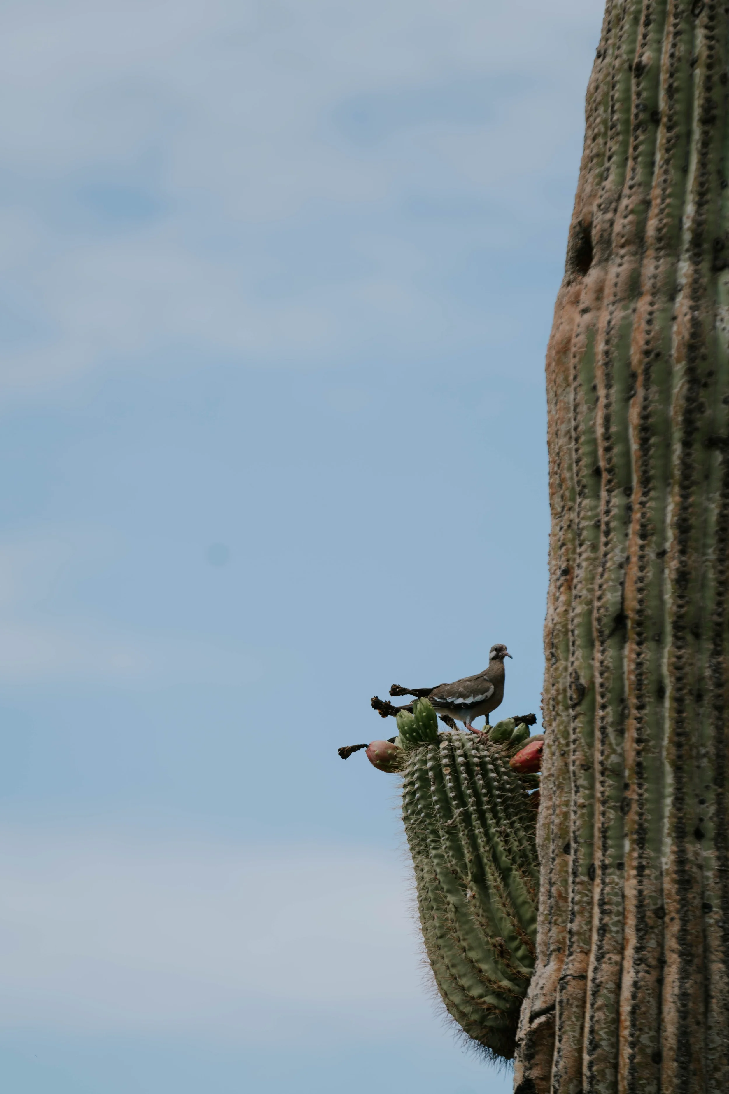 AZ Under 30 We Ko Pa-150.JPG