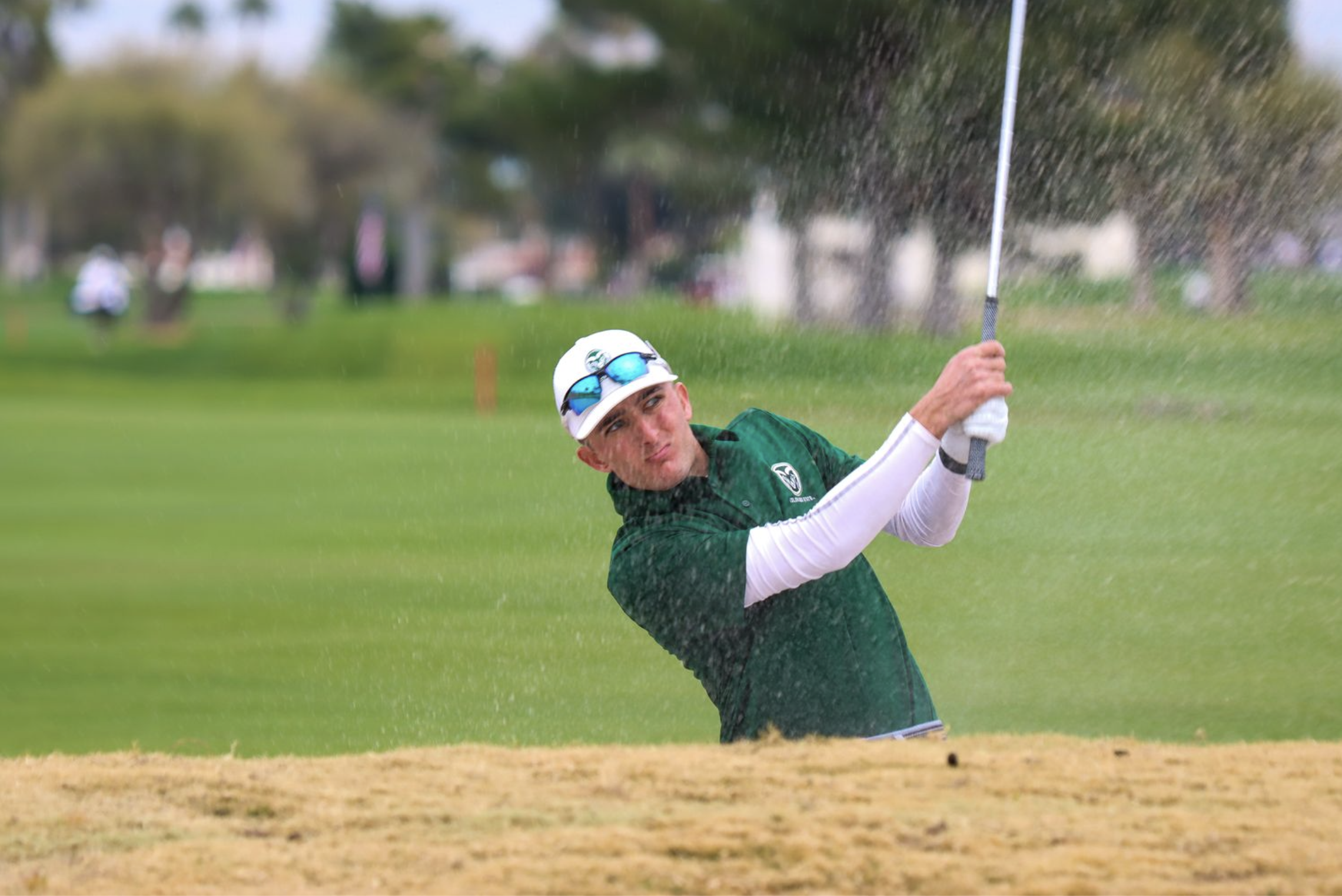 Screenshot 2024-07-07 at 11.42.03 PM.png