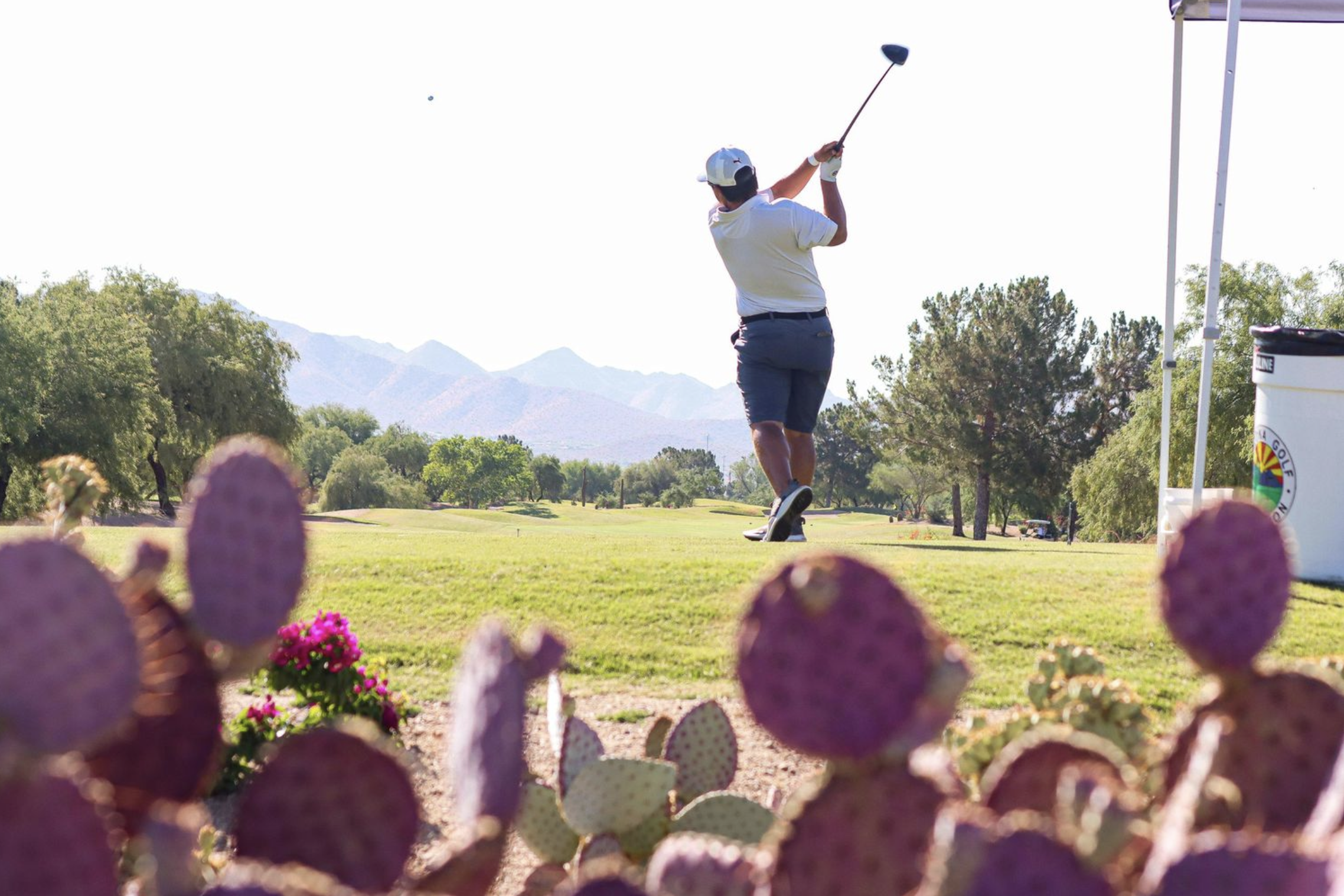 Screenshot 2024-07-08 at 12.25.51 AM.png