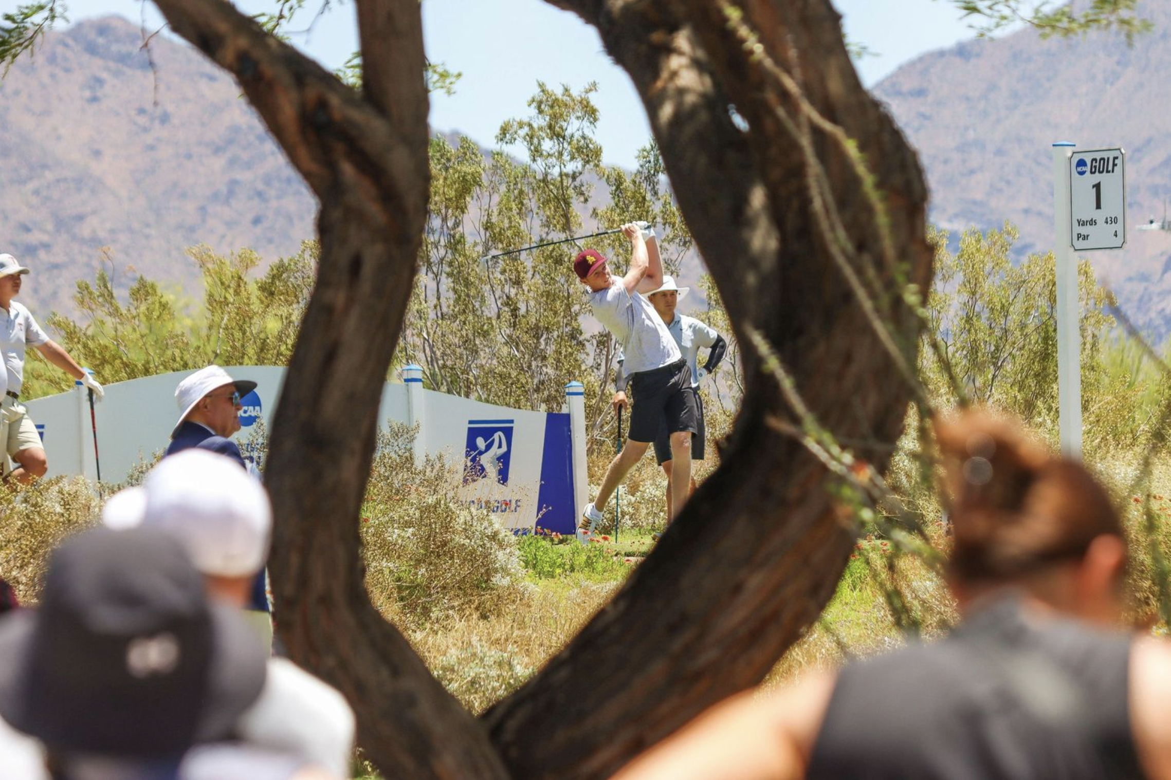 Screenshot 2024-07-08 at 12.27.19 AM.png