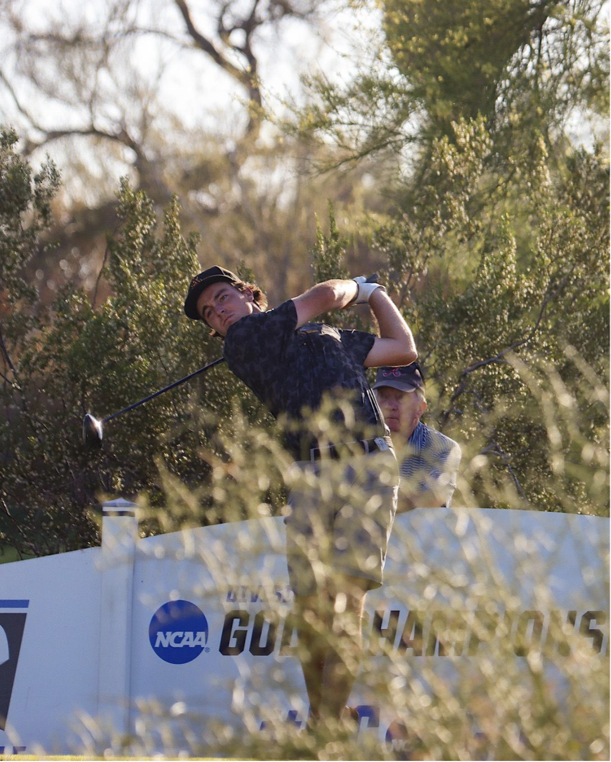 Screenshot 2024-07-08 at 12.25.20 AM.png