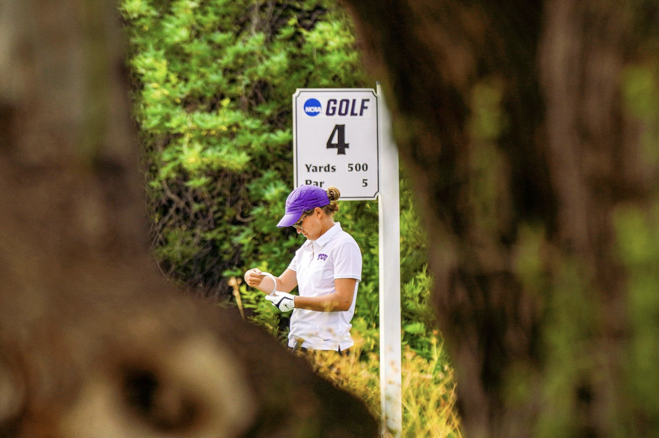 Screenshot 2024-07-08 at 12.23.55 AM.png