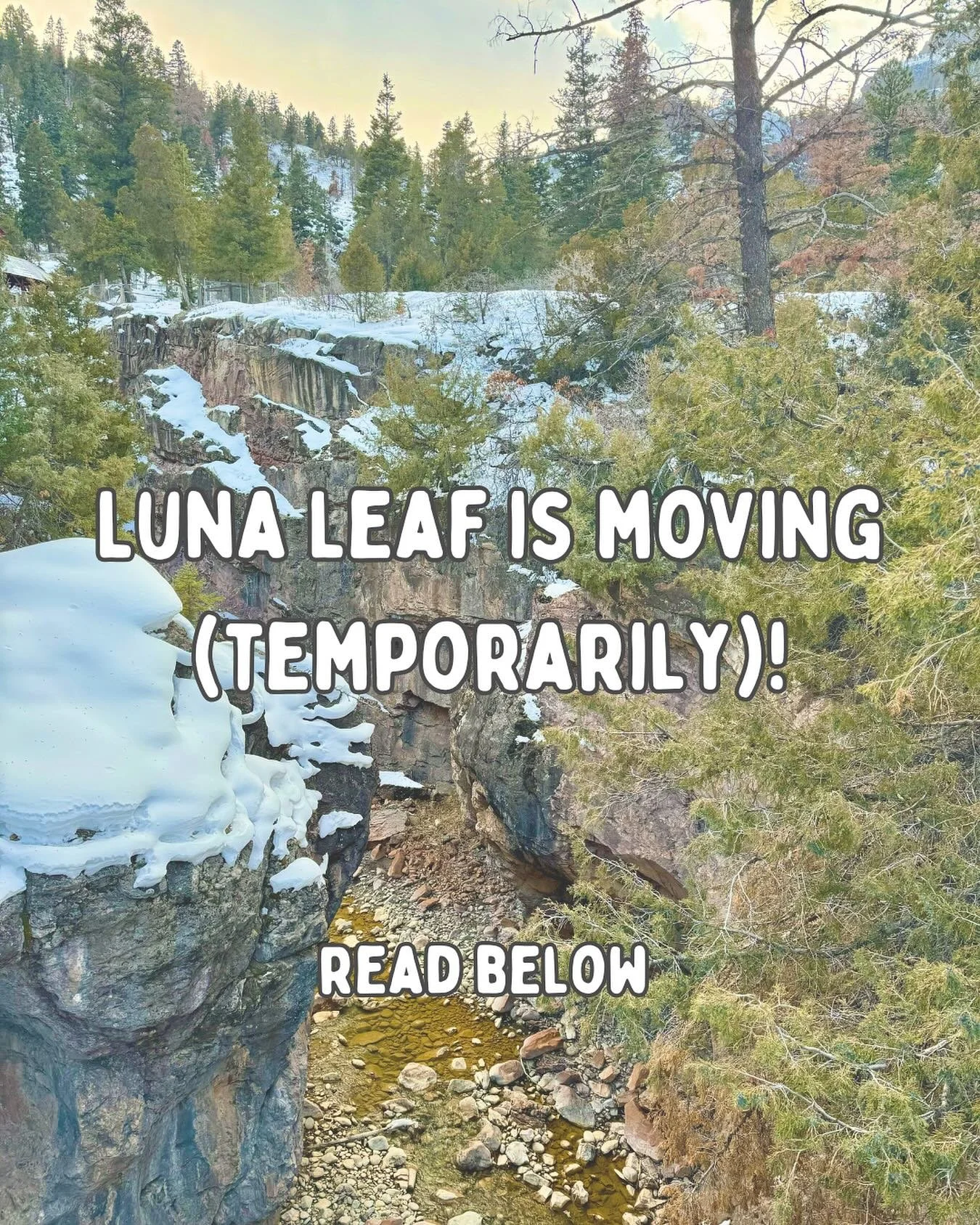 Hey everyone! It&rsquo;s been a while since I&rsquo;ve posted on this page, and I just wanted to update you all on where I&rsquo;ve been. I took some time off to focus on life things and recharge, but I&rsquo;m excited to say that I&rsquo;m back-and 