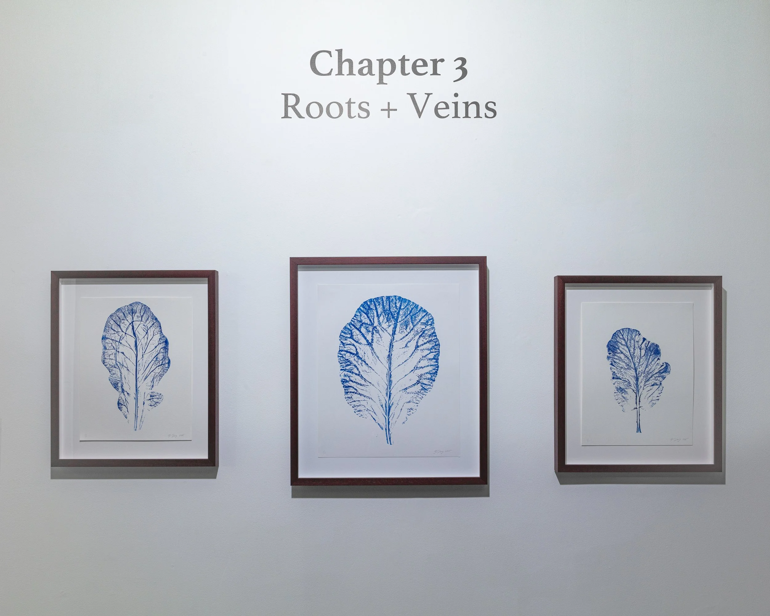Bloodstone + Home installation view. photo credit: Sindayiganza Photography