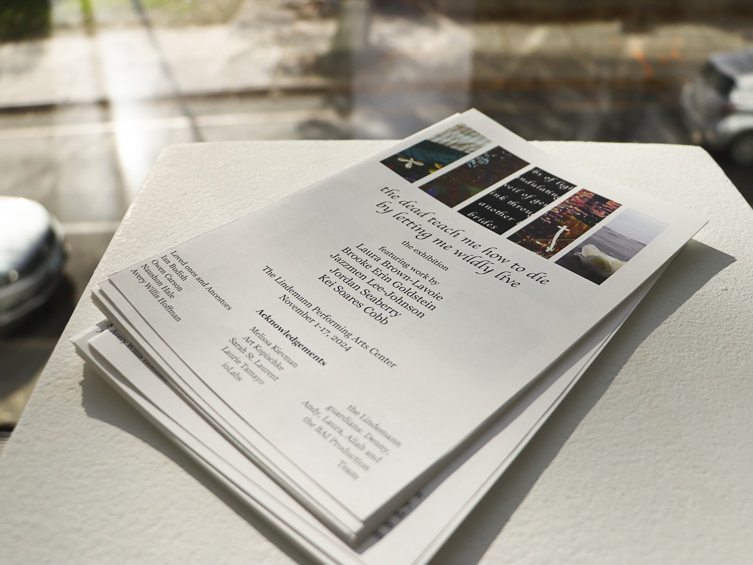 Program for the dead teach me how to die by letting me wildly live: the exhibition, designed by Becci Davis. photo credit: Peter Chenot