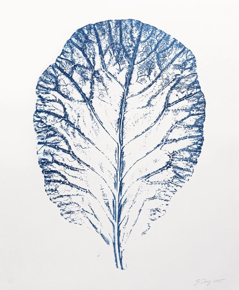 Collard Imprint III, 2025, monoprint on paper. photo credit: Providence Picture Frame and Dryden Gallery