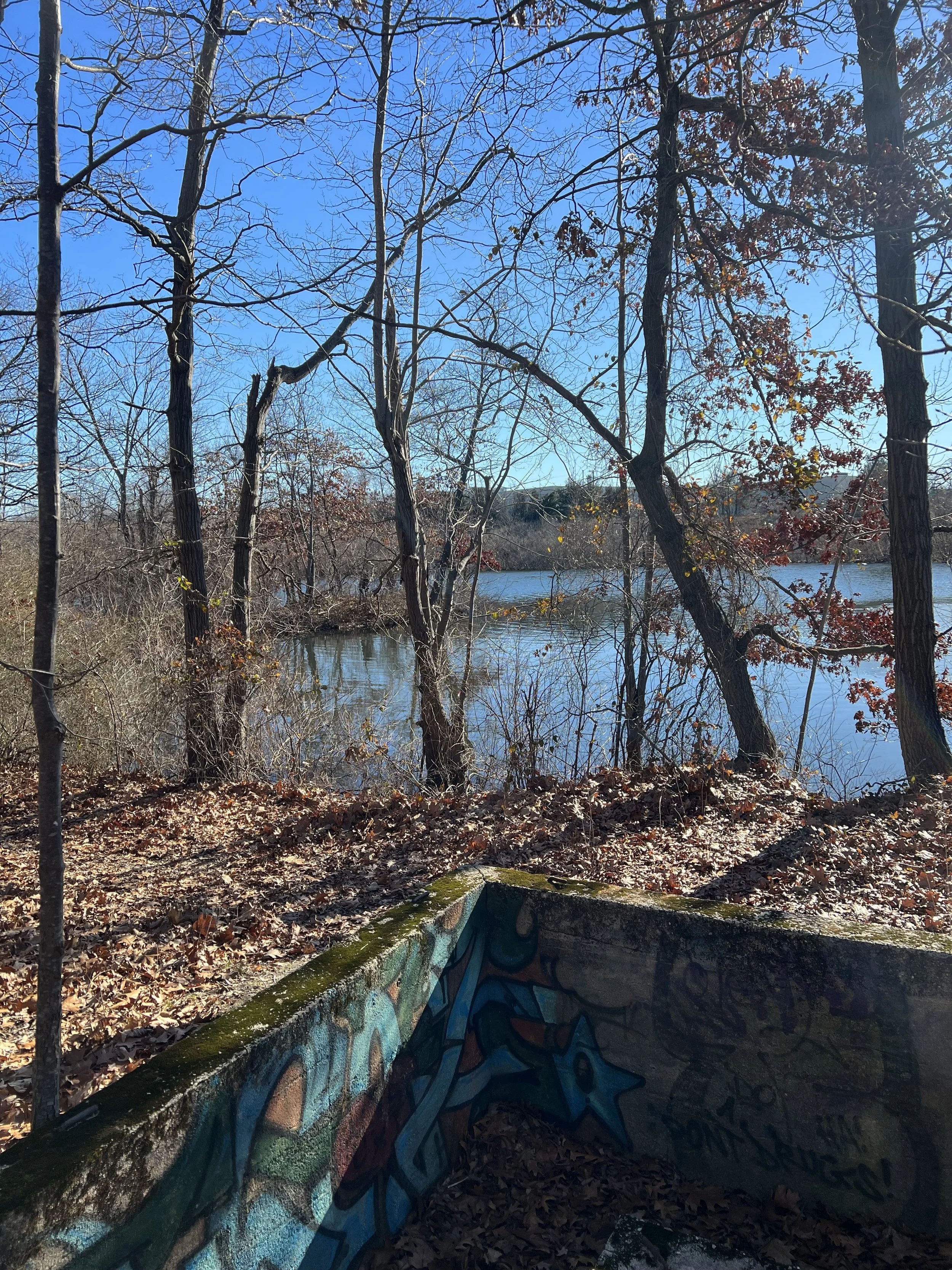 Mashapaug Park site visit with Providence College students in February 2023. photo credit: Becci Davis