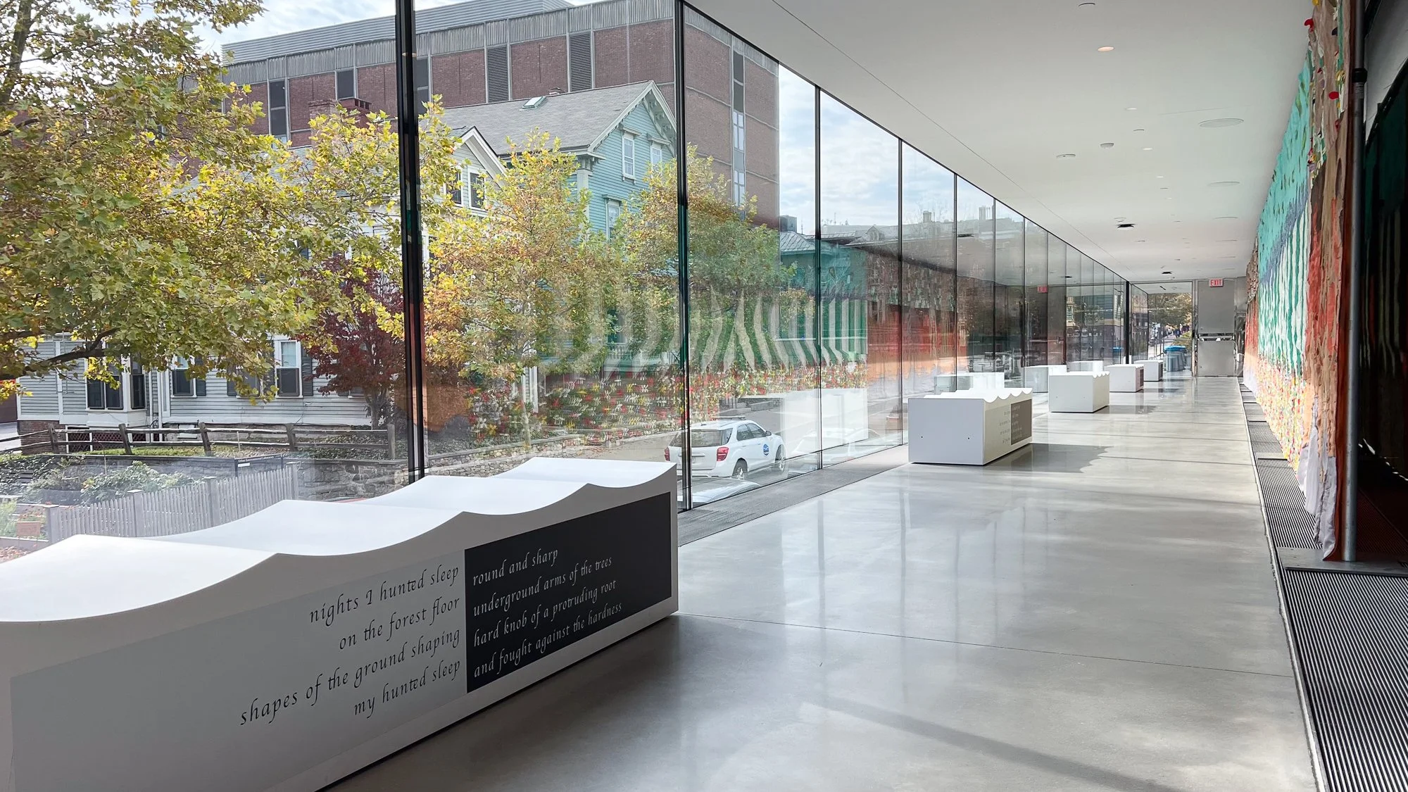 Installation view of Reverberations (right) by Brooke Erin Goldstein and the dead teach me how to die by letting me wildly live (left) by Laura Brown-Lavoie.