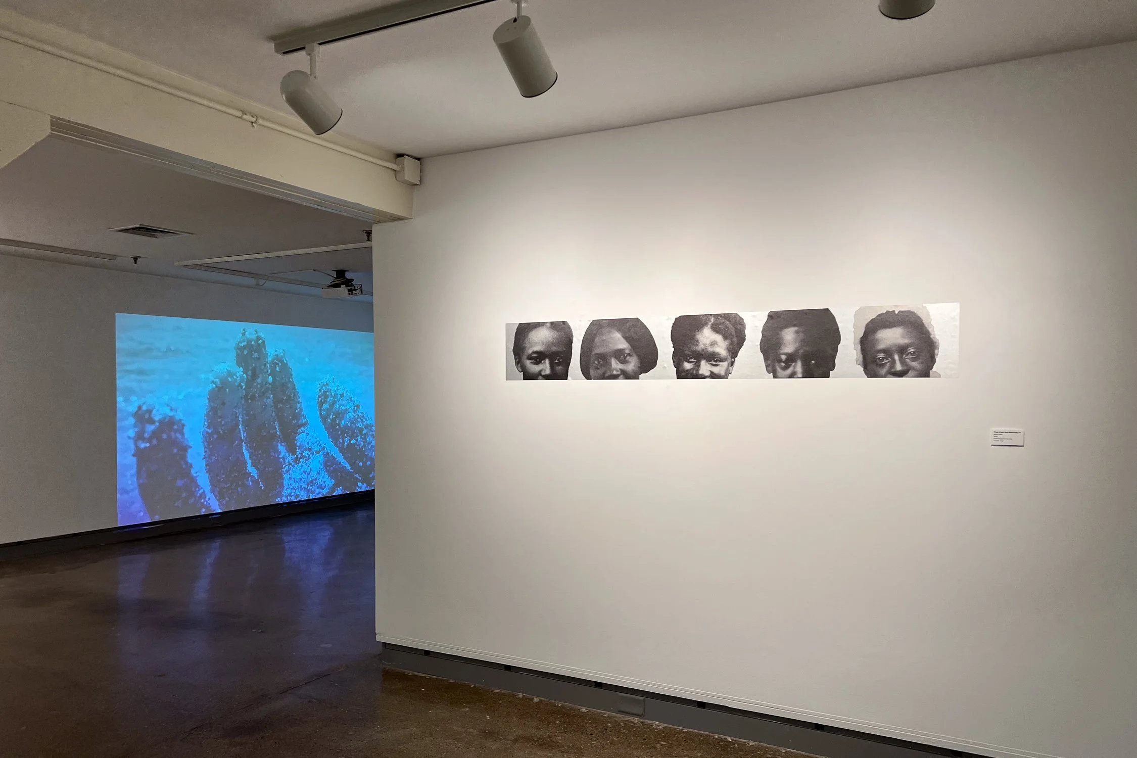 Their Eyes Are Watching Us, 2020
