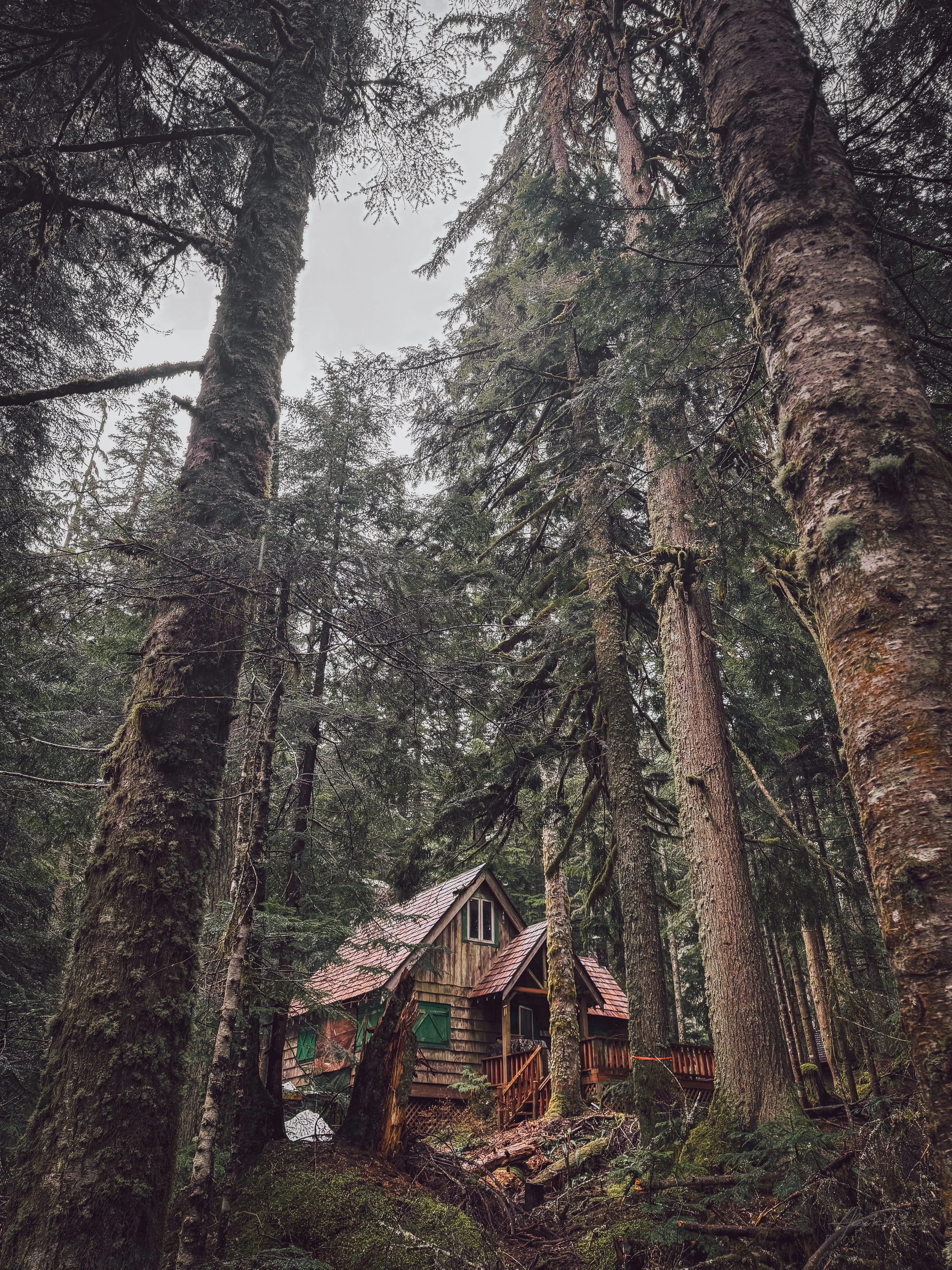 secluded-mountain-cabin-snoqualmie-pass-washington-forest.jpg