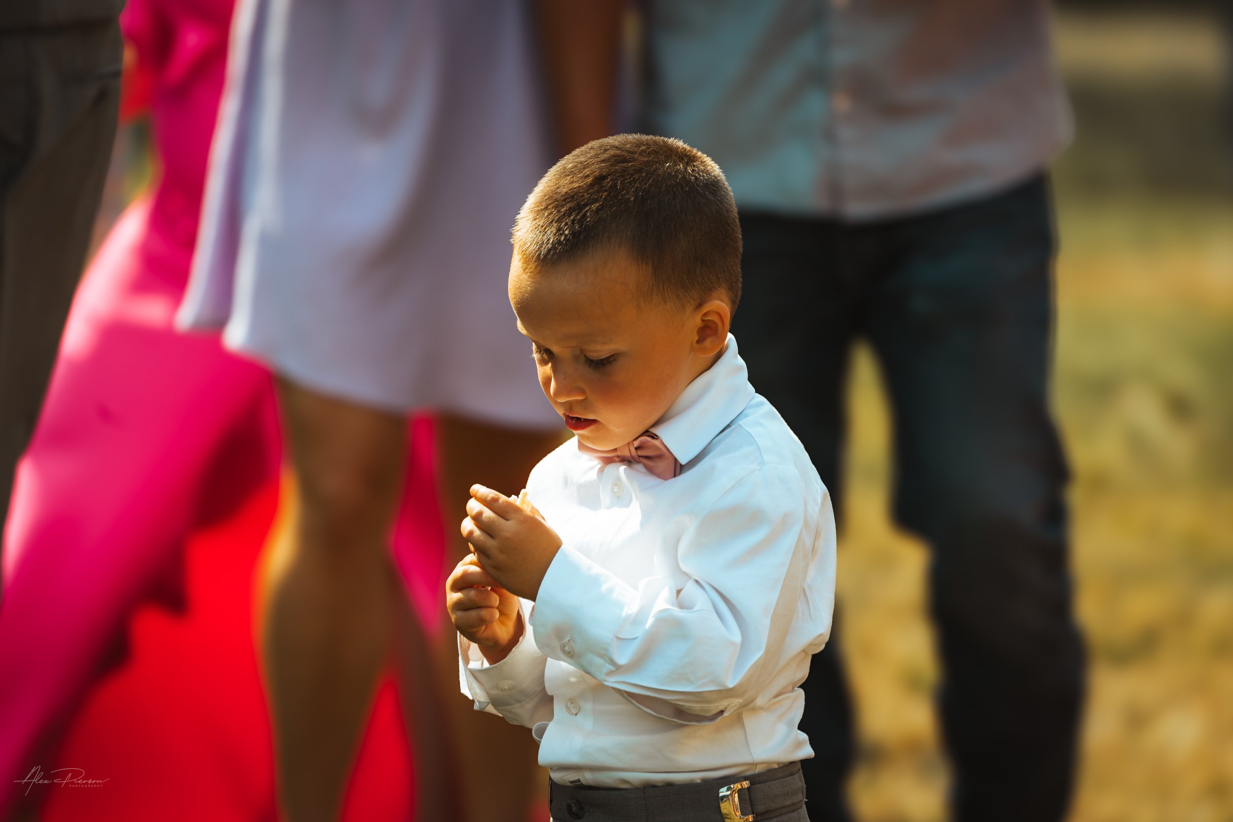 bride and grooms son looking at a flower during a wedding in Olympia, wa