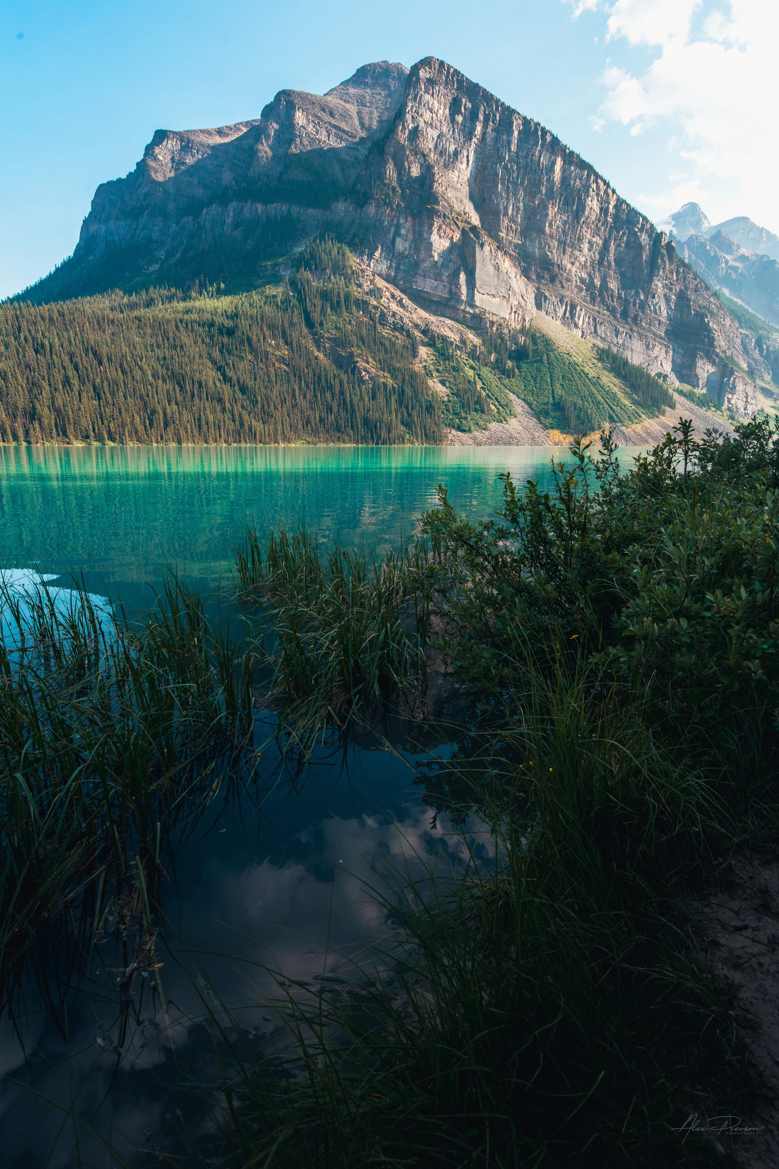 Vibrant turquoise glacier water of Lake Louise framed by tall grass and a massive rocky mountain peak.
The breathtaking, vivid turquoise glacial waters of Lake Louise mirror the towering, rugged peaks of the Canadian Rockies on a pristine summer day 