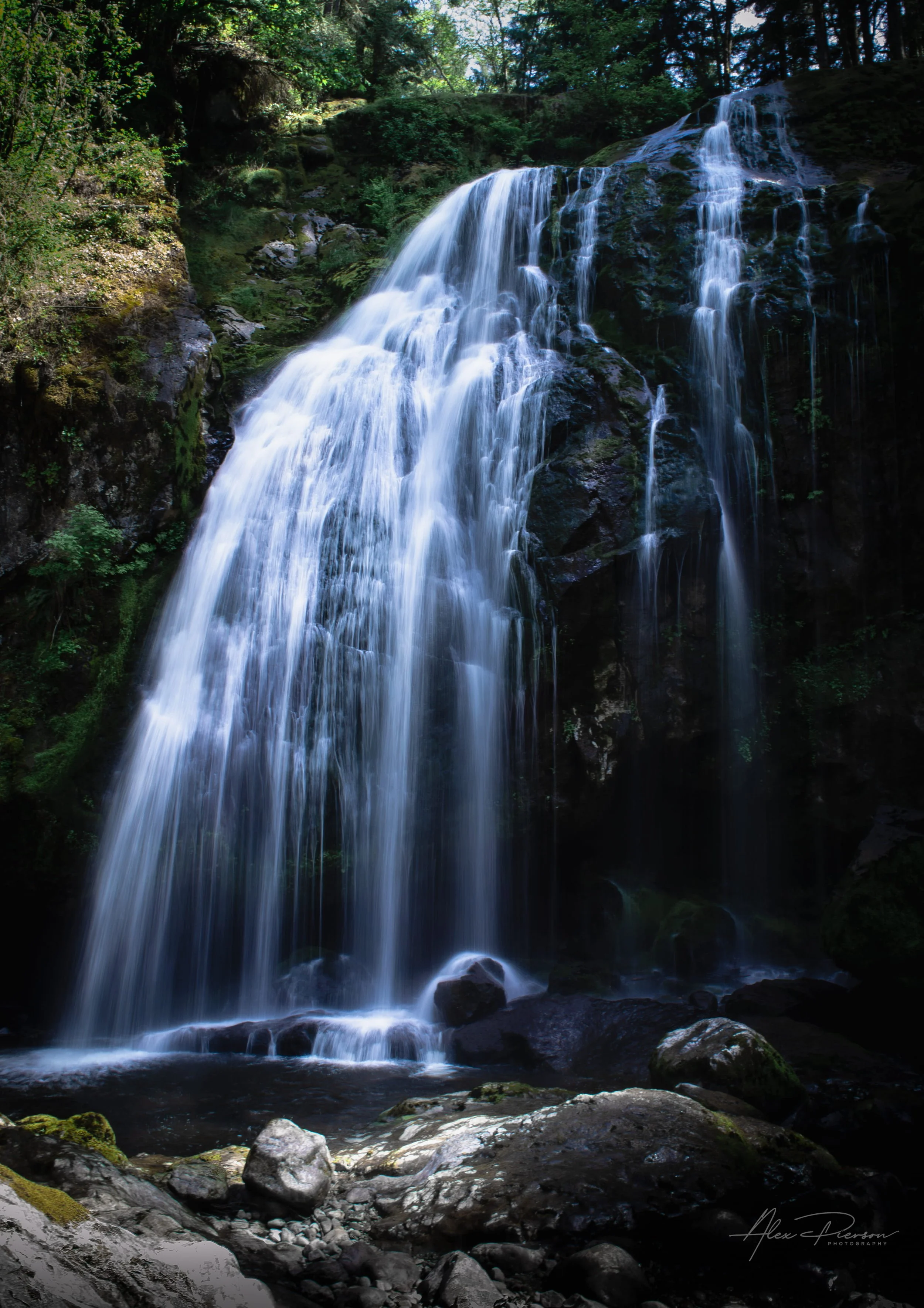 A breathtaking long-exposure photograph of a cascading waterfall flowing gracefully over dark, moss-covered boulders deep within a lush Pacific Northwest forest. Captured by Alex Pierson Images.