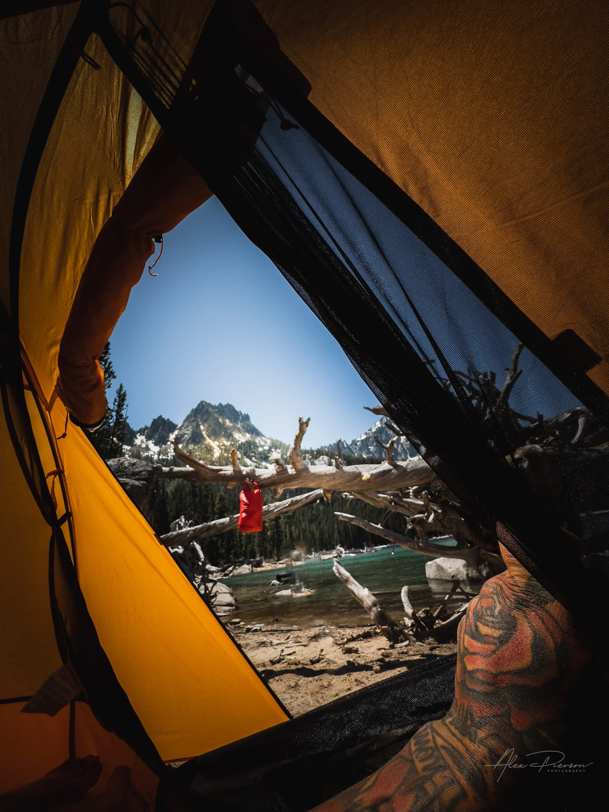A first-person adventure perspective looking out from a camping tent at a crystal-clear alpine lake, framed by fallen timber and rugged mountain peaks under a blue summer sky. Outdoor lifestyle and landscape photography by Alex Pierson Images.