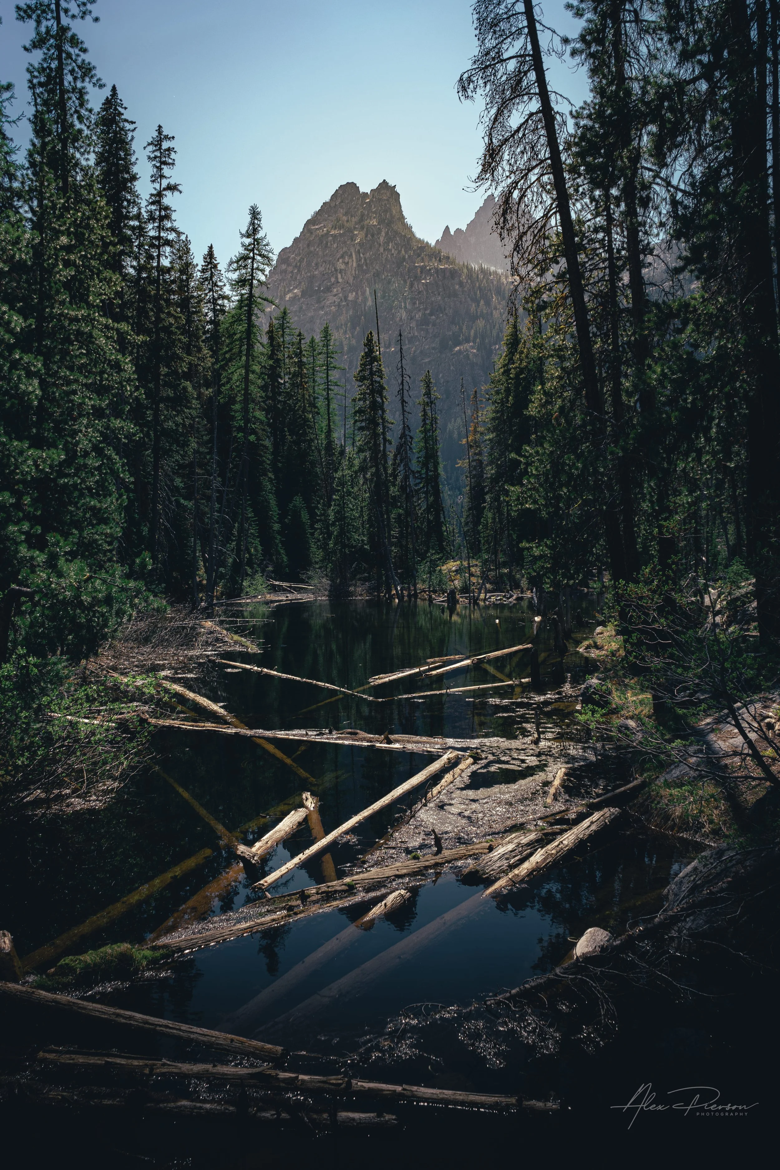 Fallen logs float in a dark alpine lake surrounded by pine trees and a sharp granite peak in The Enchantments.
The rugged alpine beauty of The Enchantments near Leavenworth, WA. Fallen timber rests in the calm, dark waters of an alpine lake, framed b