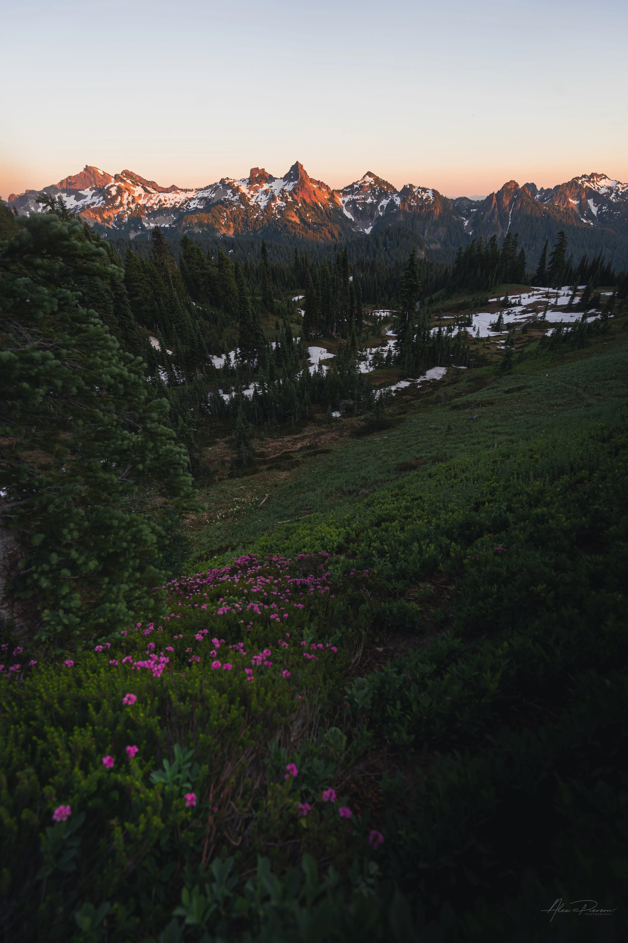 mt-rainier-alpine-wildflowers-tatoosh-range-summer-sunset.jpg