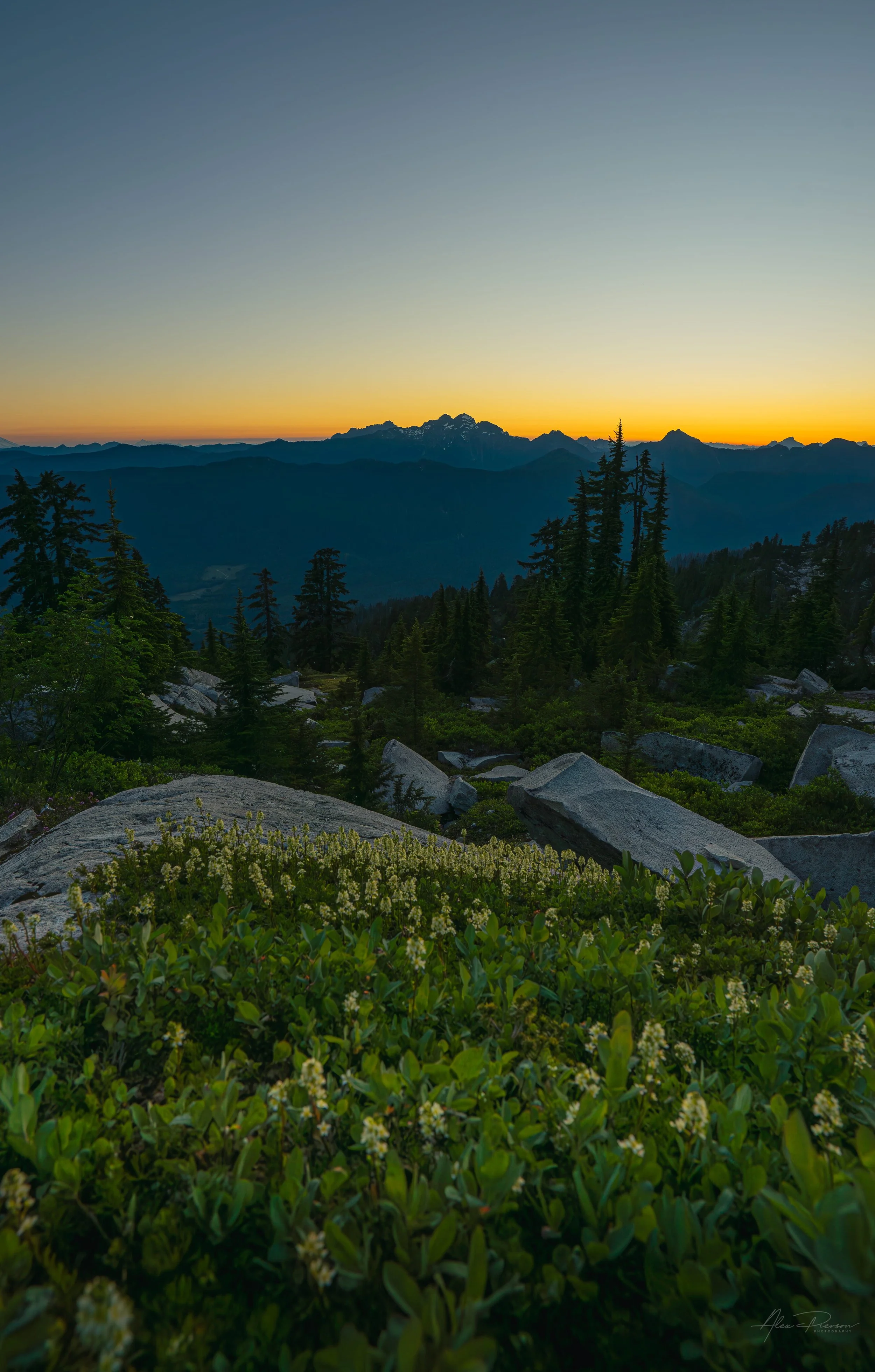 alpine-meadow-wildflowers-boulders-twilight-mt-rainier.jpg