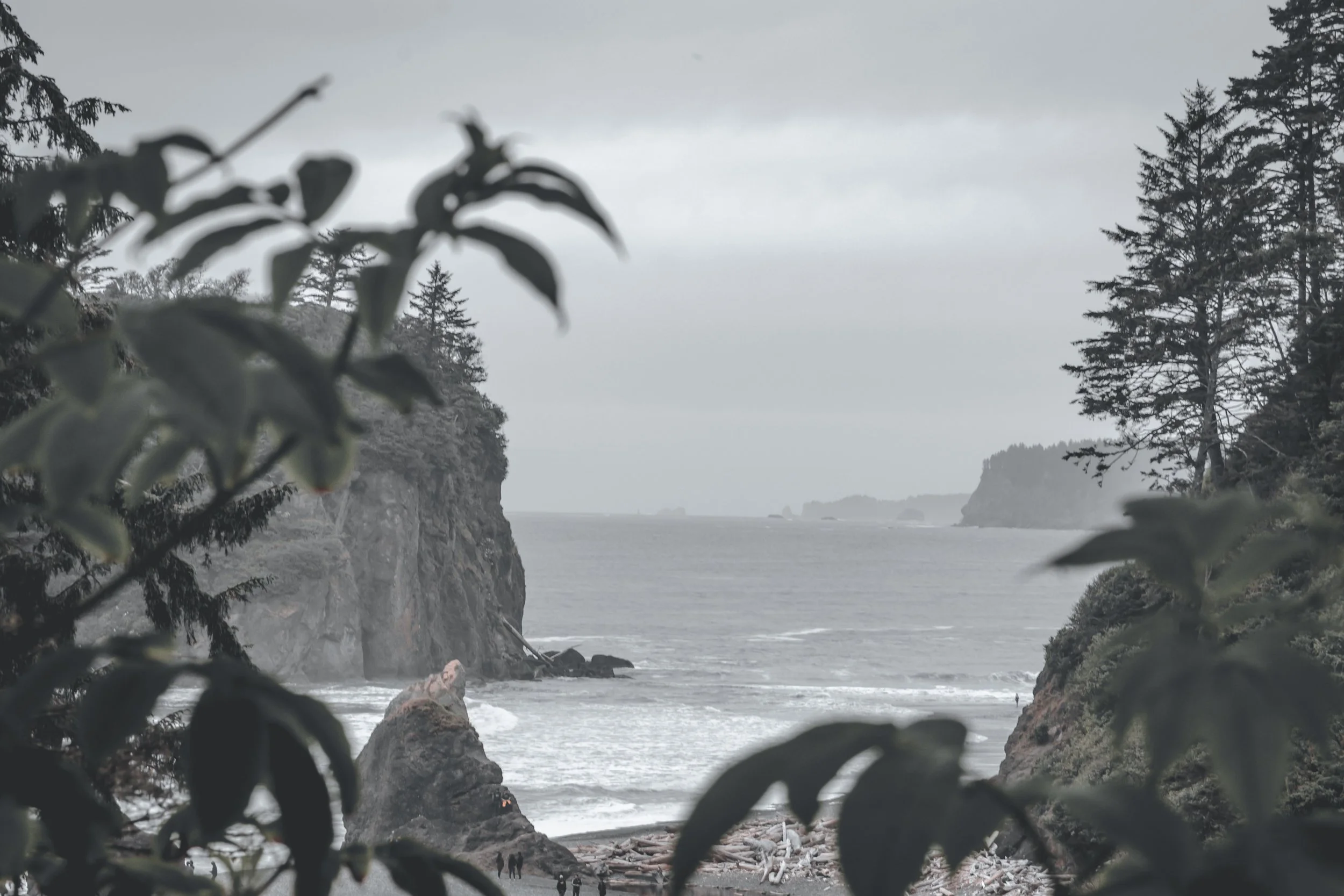 Looking through green coastal foliage at the foggy, grey ocean and sea stacks of Ruby Beach, Washington.
A framed, atmospheric view of Ruby Beach in Olympic National Park. Dark coastal foliage gives way to a moody, fog-swept shoreline dotted with ico