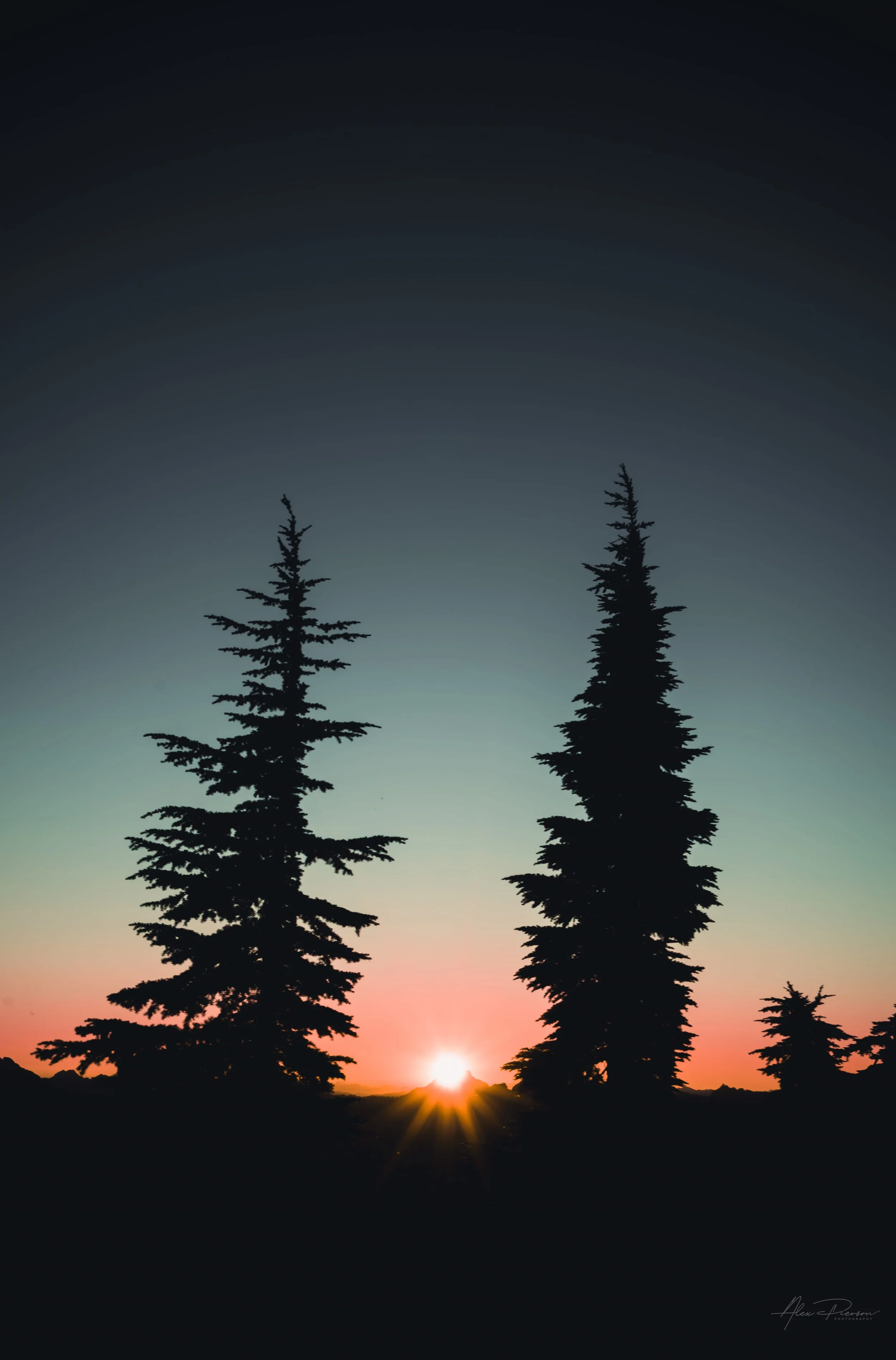 twin-evergreen-trees-sunset-silhouette-mt-rainier.jpg