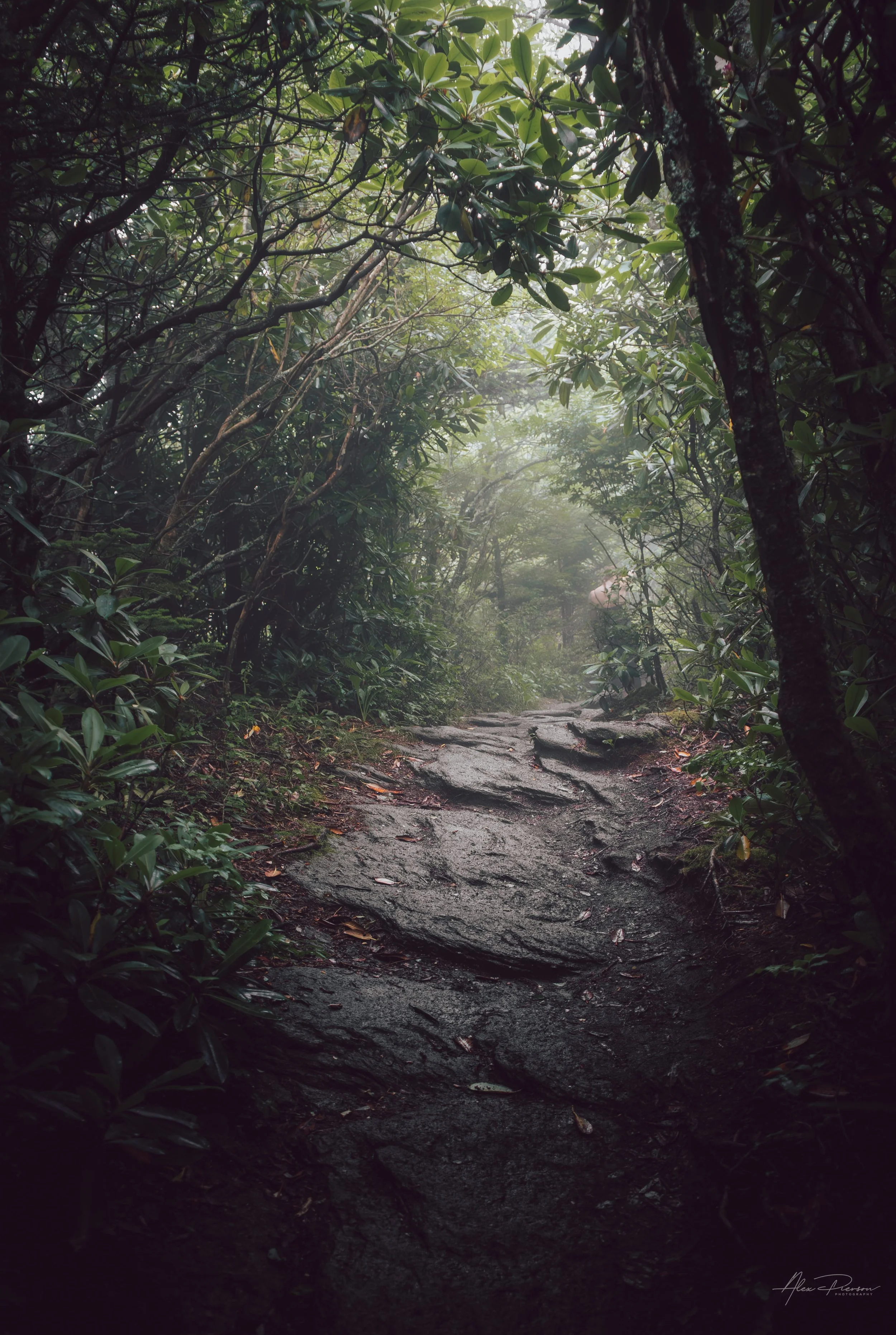 foggy-hiking-trail-blue-ridge-mountains-north-carolina.jpg