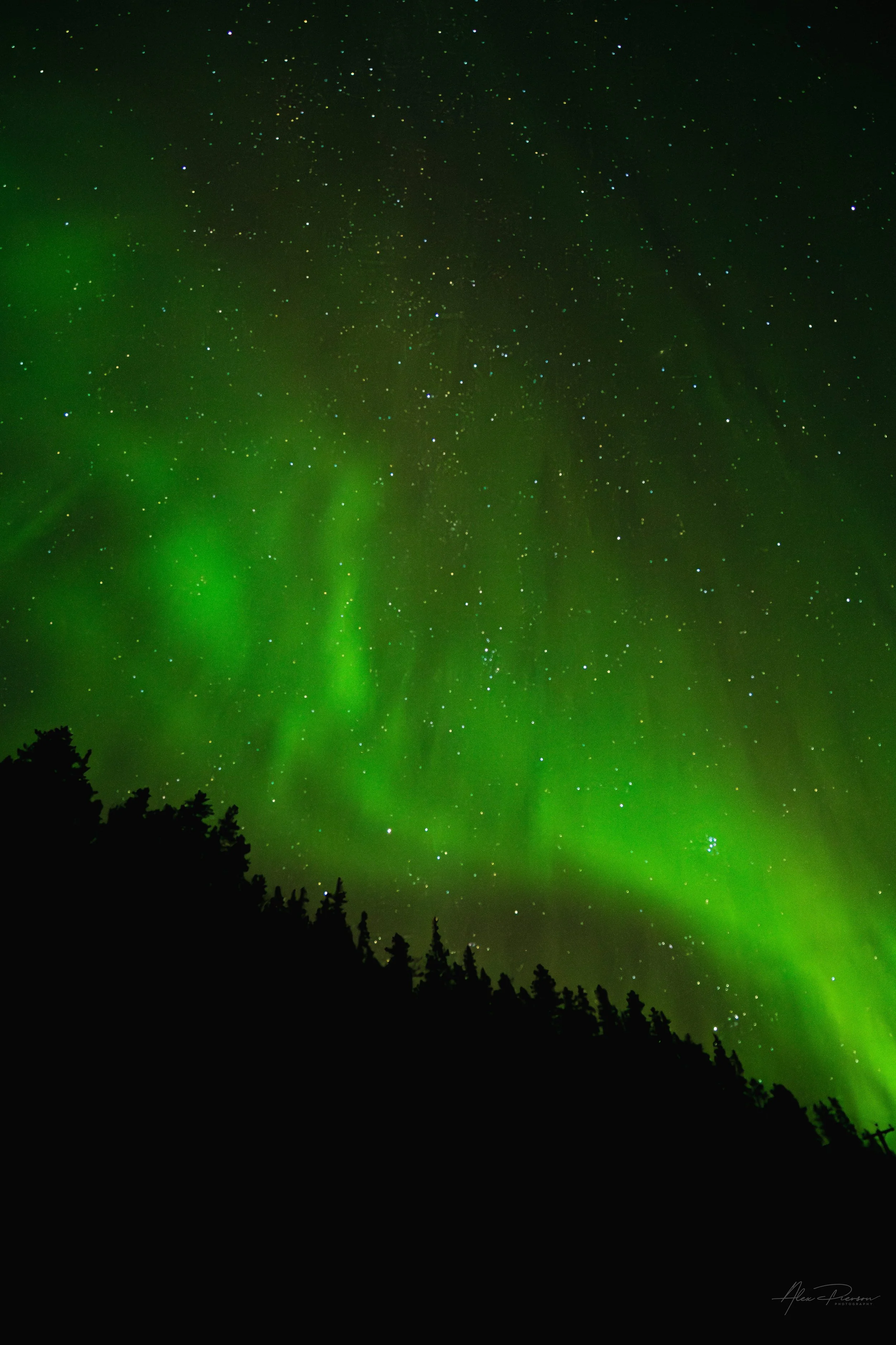northern-lights-aurora-borealis-over-whitehorse-yukon.jpg