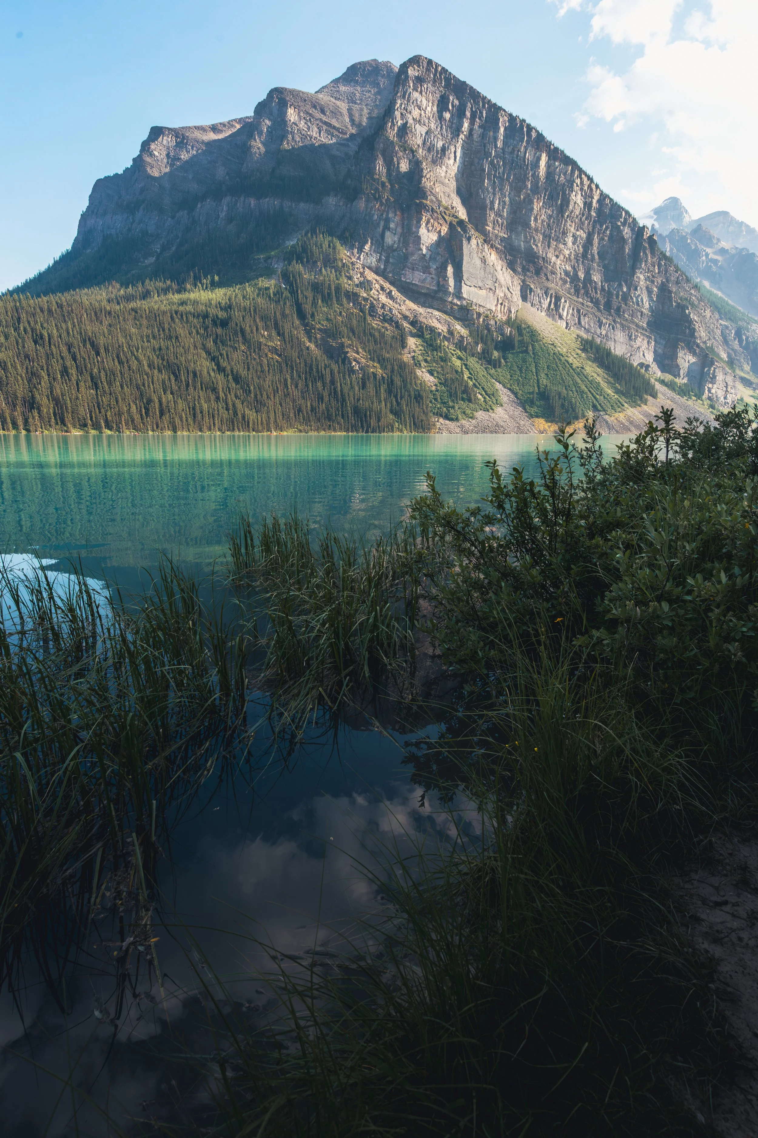 Vibrant turquoise glacier water of Lake Louise framed by tall grass and a massive rocky mountain peak.
The breathtaking, vivid turquoise glacial waters of Lake Louise mirror the towering, rugged peaks of the Canadian Rockies on a pristine summer day 
