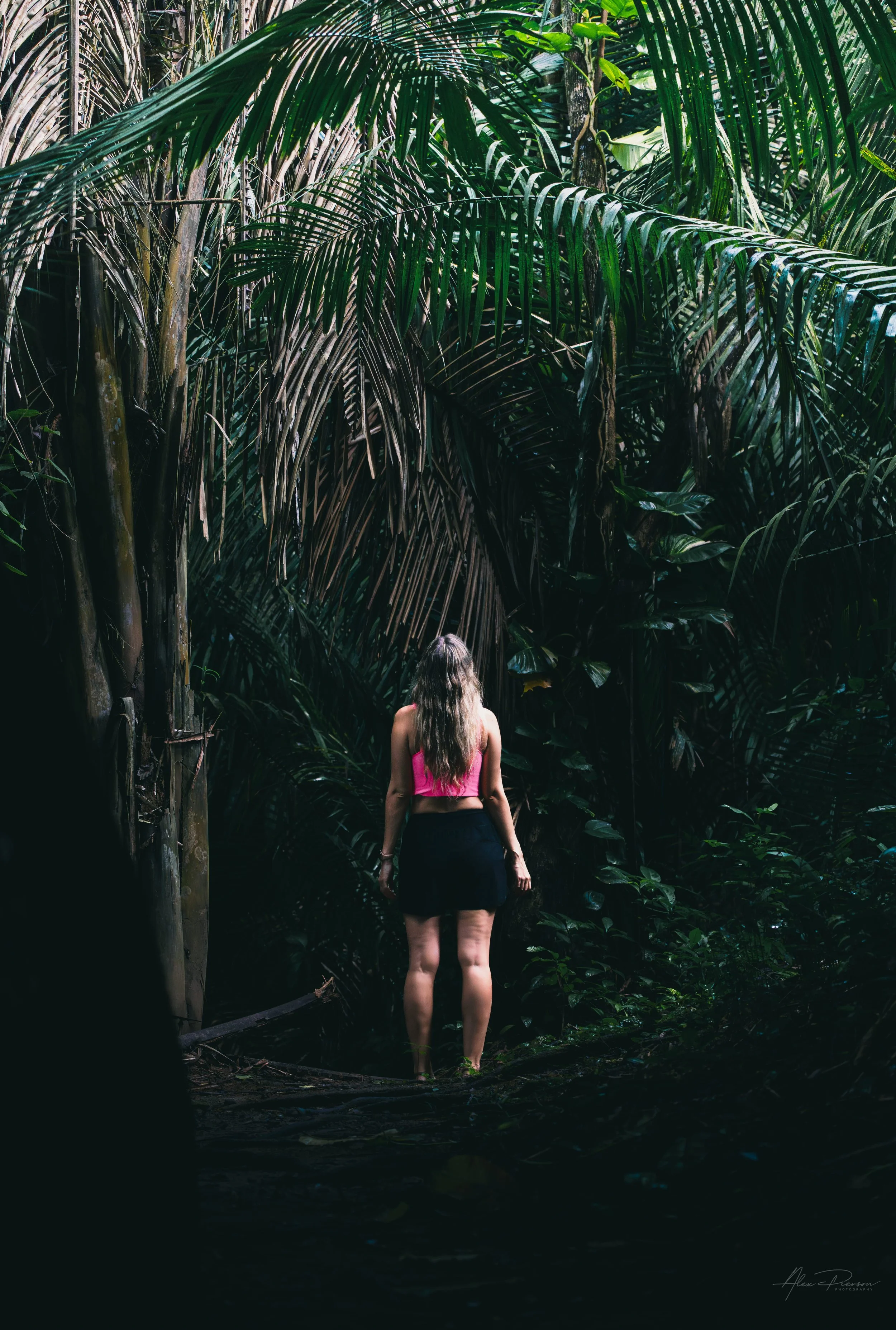 belize-rainforest-hiking-adventure-travel-moody.jpg