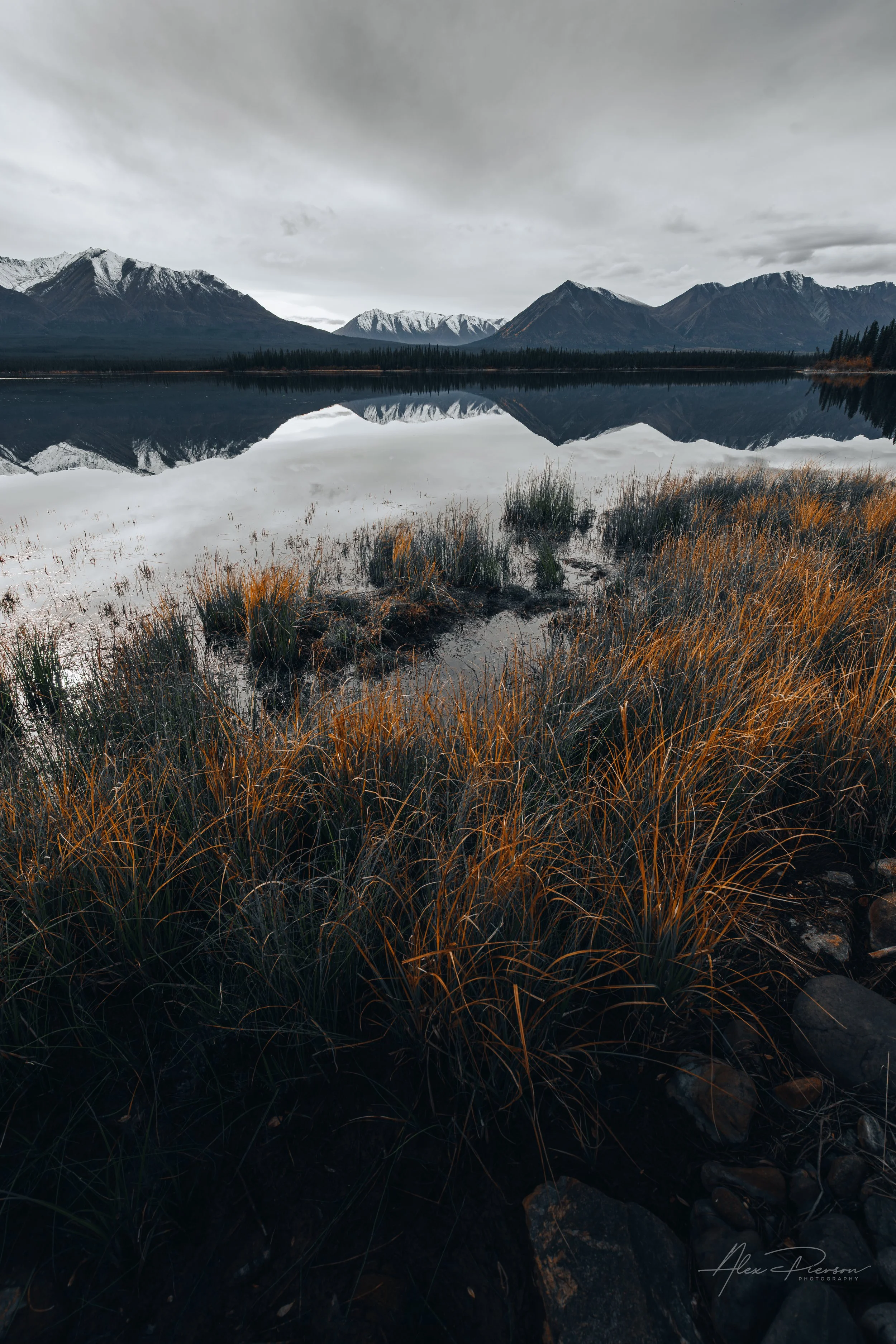 Perfect glass reflection of snow-capped mountains on a calm Alaskan lake framed by golden autumn grass.
A moody and serene Alaskan landscape. Golden, textured marsh grasses line the shore of a perfectly calm lake, reflecting a striking range of snow-