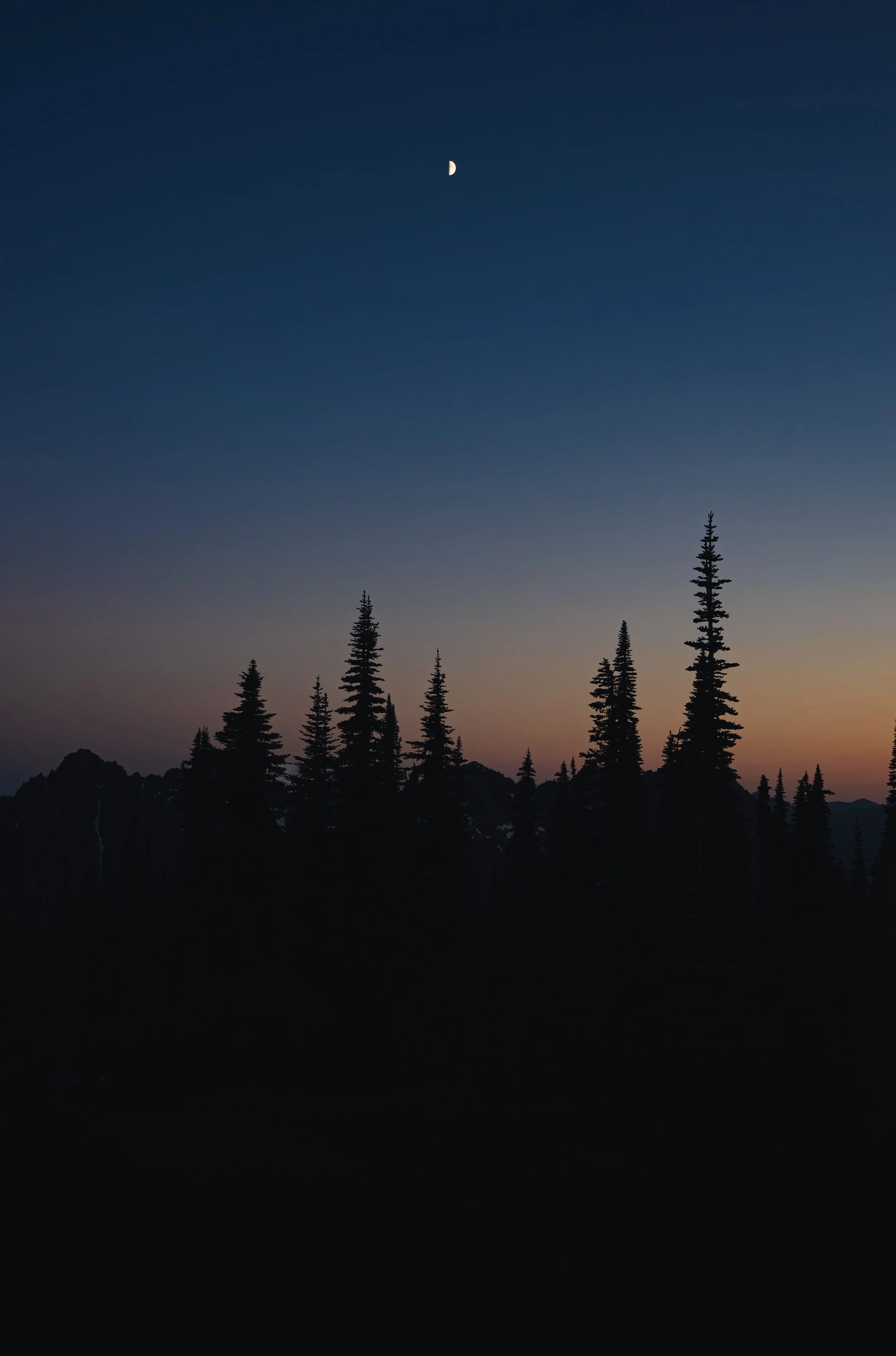 Following the trail into the sunset at Mount Rainier National Park. Purple alpine wildflowers frame a breathtaking view of the Cascade mountains at dusk.
A winding mountain trail framed by purple wildflowers during a colorful sunset at Mount Rainier.
