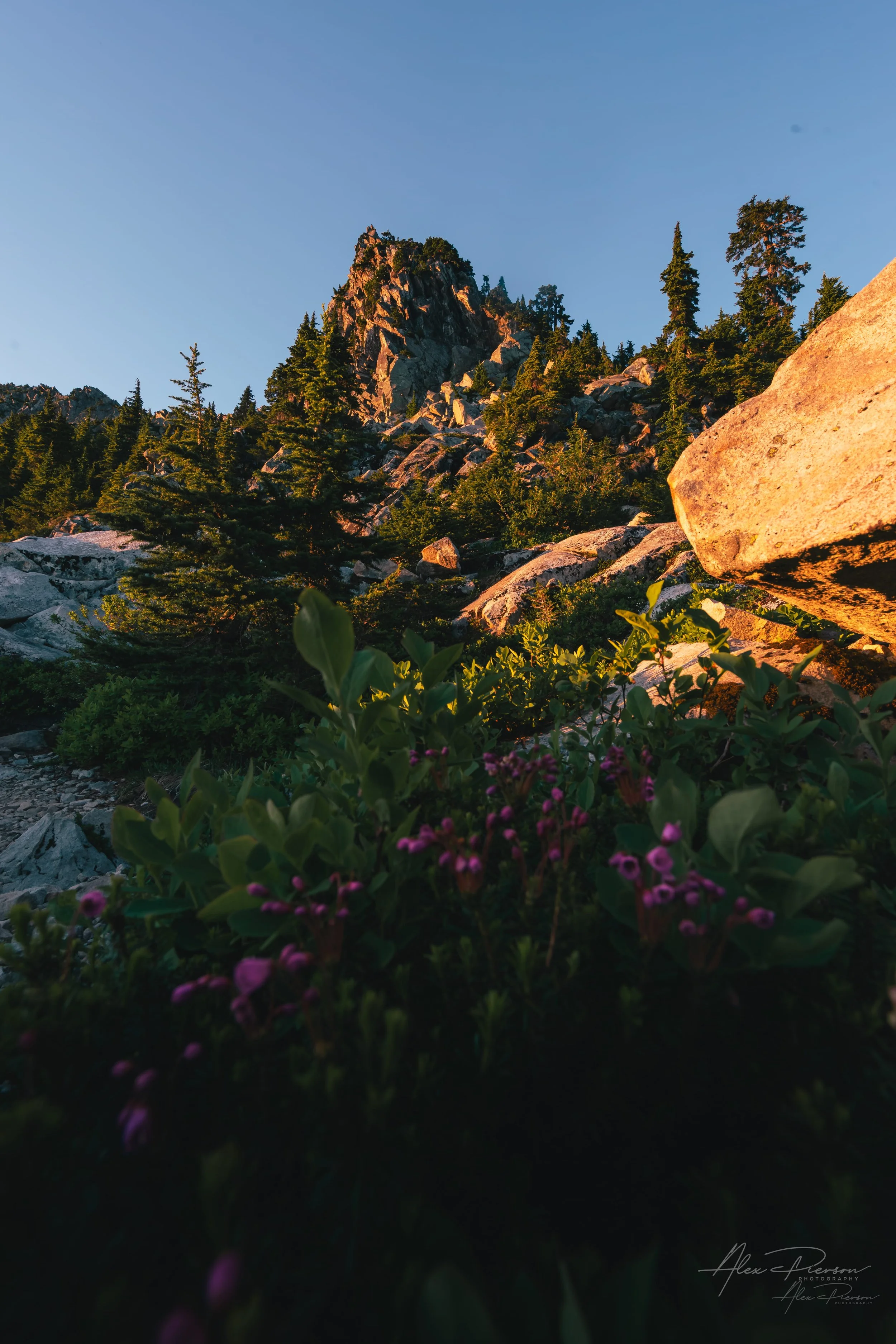mt-pilchuck-alpine-peak-wildflowers-summer-sunset.jpg