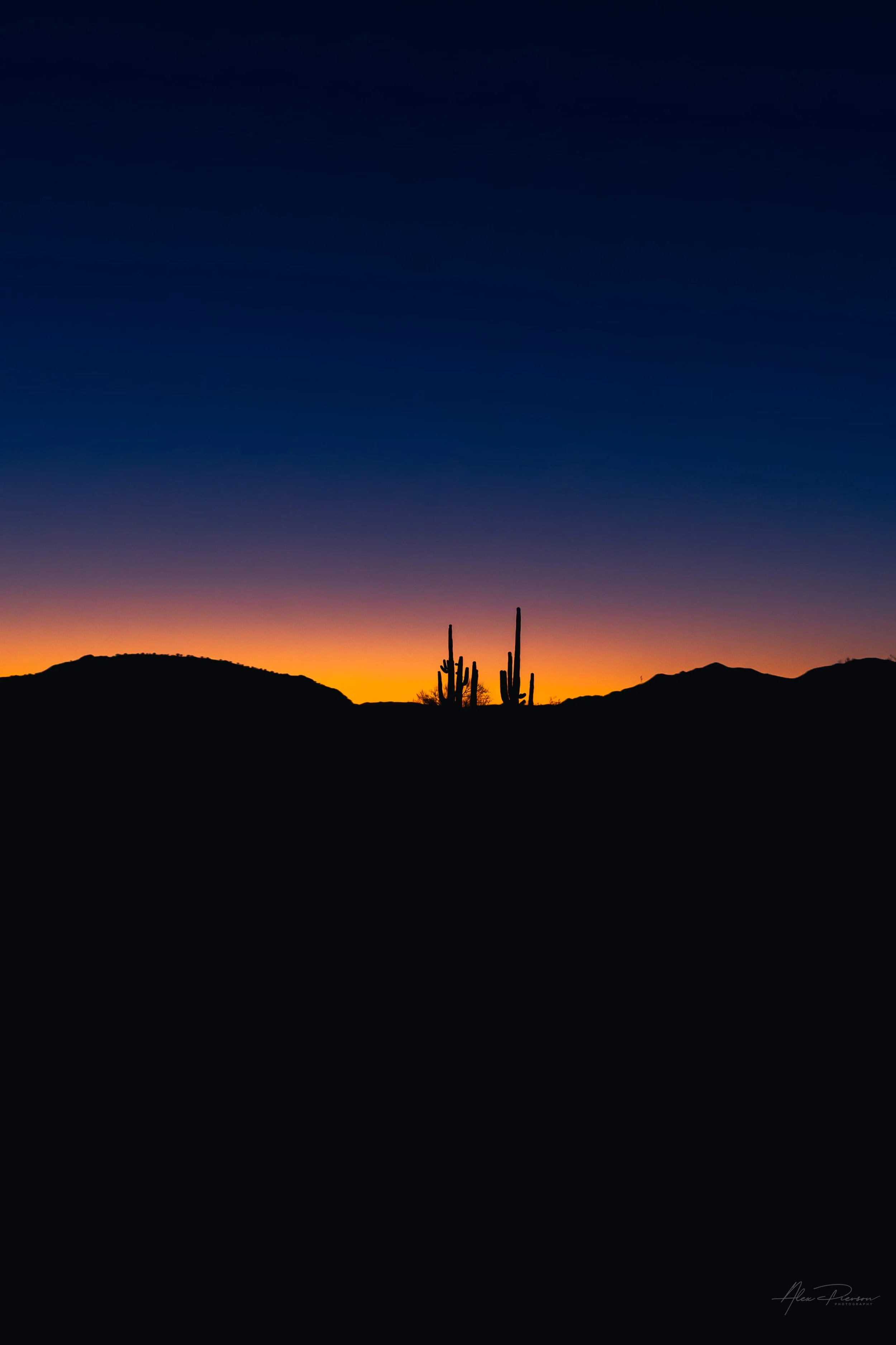 saguaro-cactus-silhouette-arizona-desert-stunning-sunset.jpg