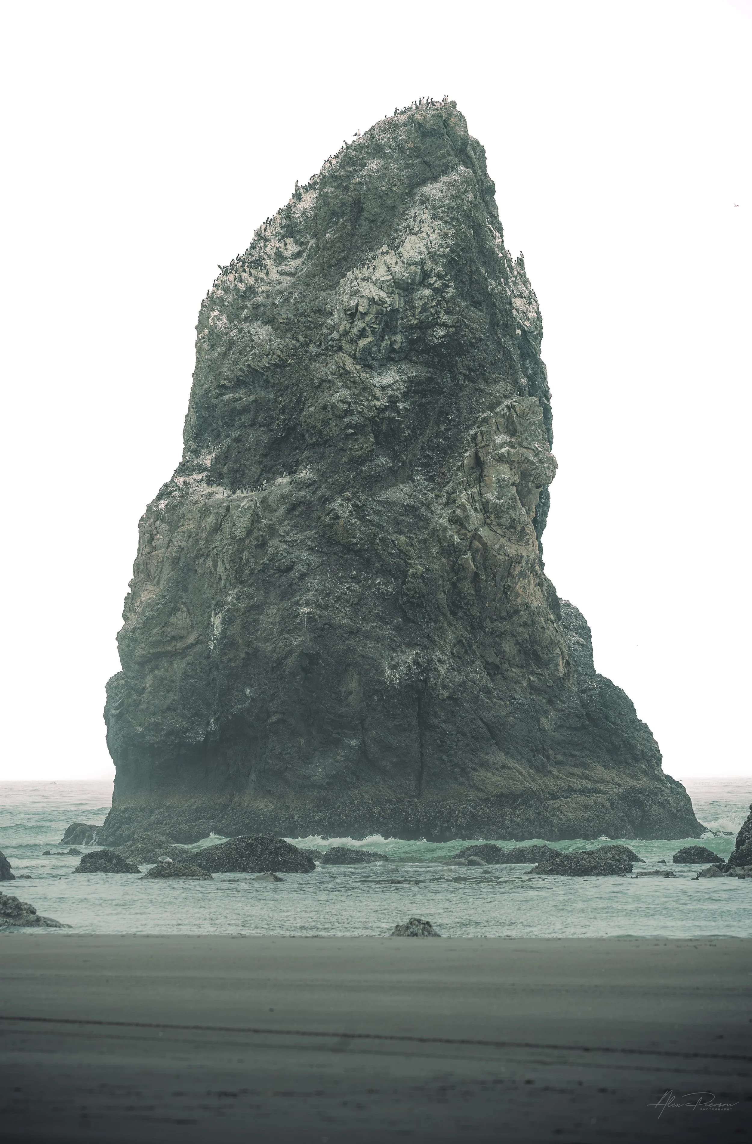 A massive coastal sea stack covered in seabirds rising from the misty ocean at Cannon Beach, Oregon.
 A dramatic, close-up view of the rugged basalt sea stacks at Cannon Beach, Oregon. The towering rock formation is completely enveloped in a dense, m
