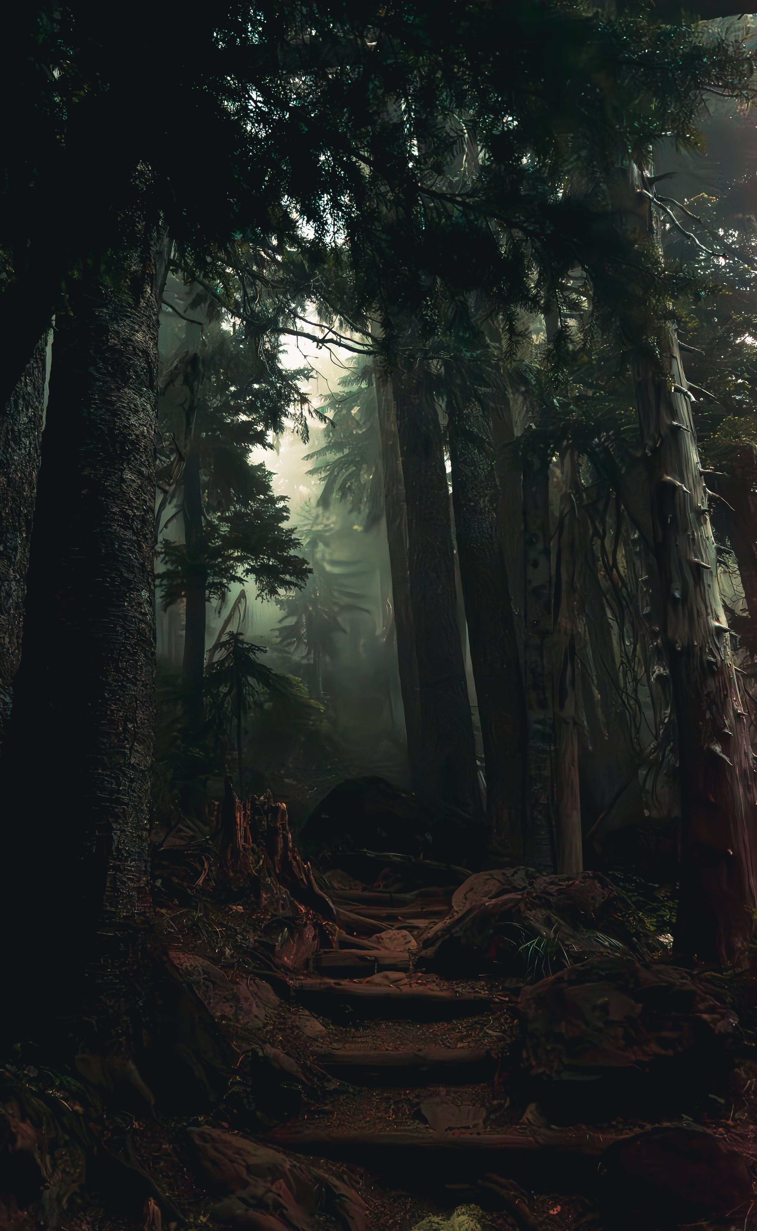 Soft light filtering through thick fog in a dark, moody evergreen forest on the Mt Ellinor hike.
Soft light barely penetrates the thick coastal fog and ancient tree trunks along the Mount Ellinor trail, capturing the classic, dark aesthetic of Washin