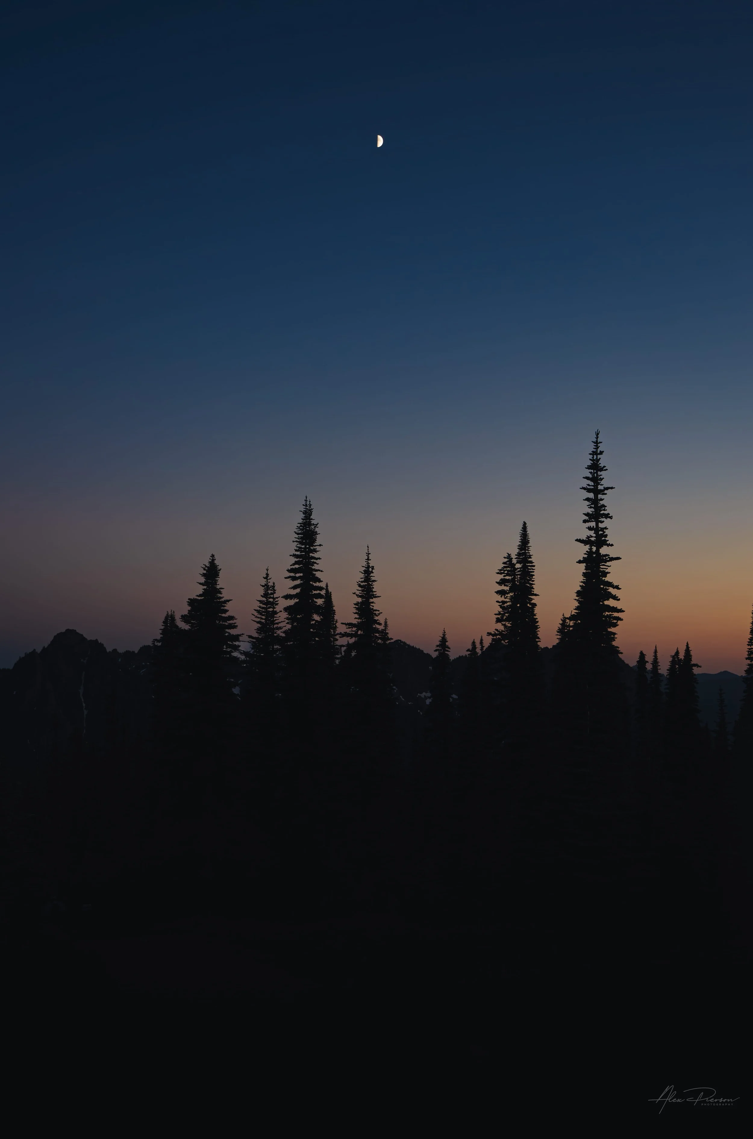 mt-rainier-evergreen-tree-silhouette-twilight-moon.jpg
