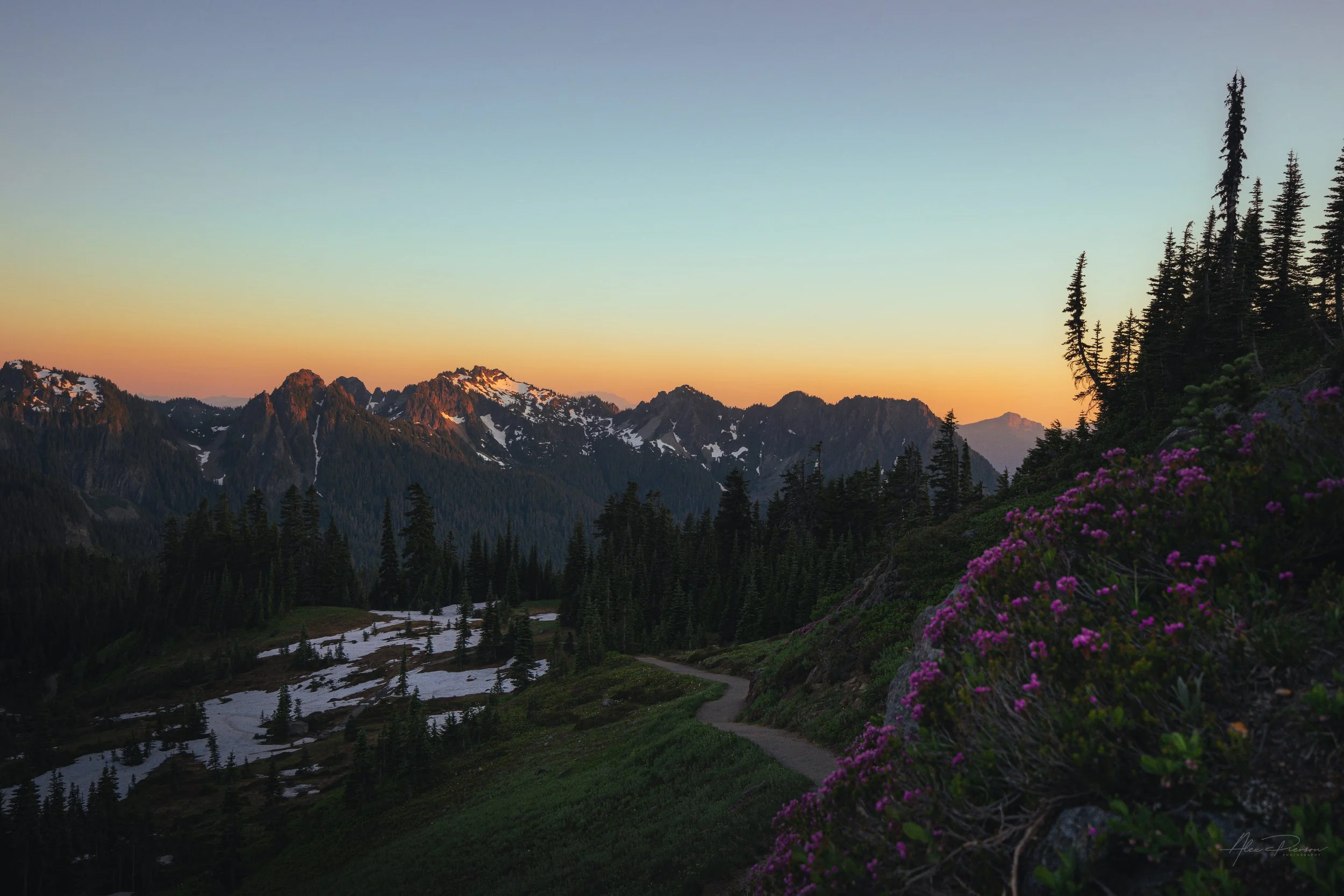 mt-rainier-hiking-trail-sunset-mountain-heather.jpg