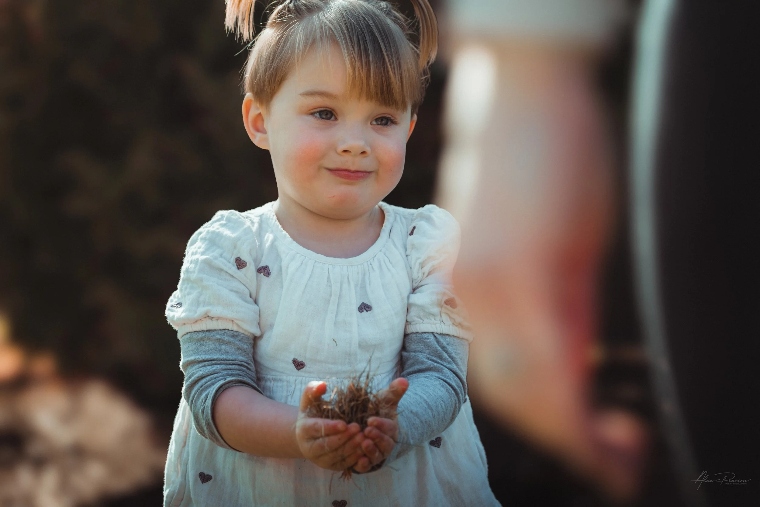 Little girl smiling and walking with a handful of dead grass during a lifestyle shoot in Tumwater, WA– Pacific Northwest lifestyle family and children's photography.