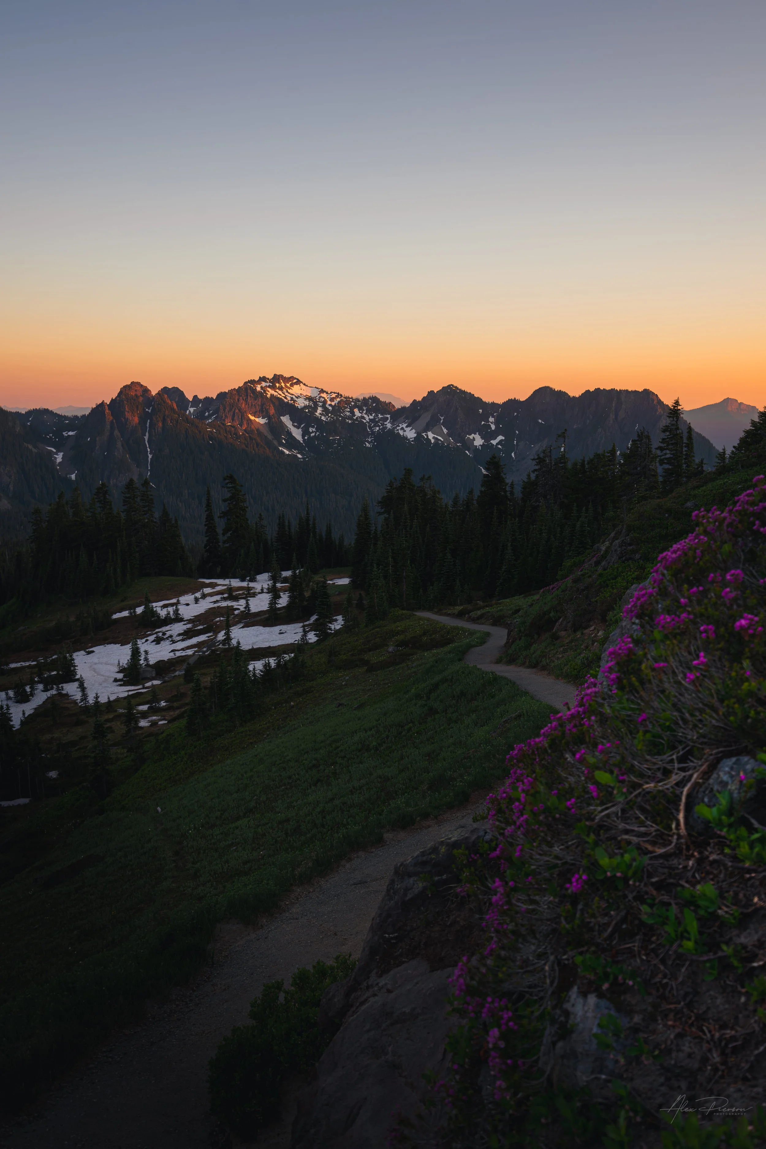 skyline-trail-mt-rainier-summer-sunset-landscape.jpg