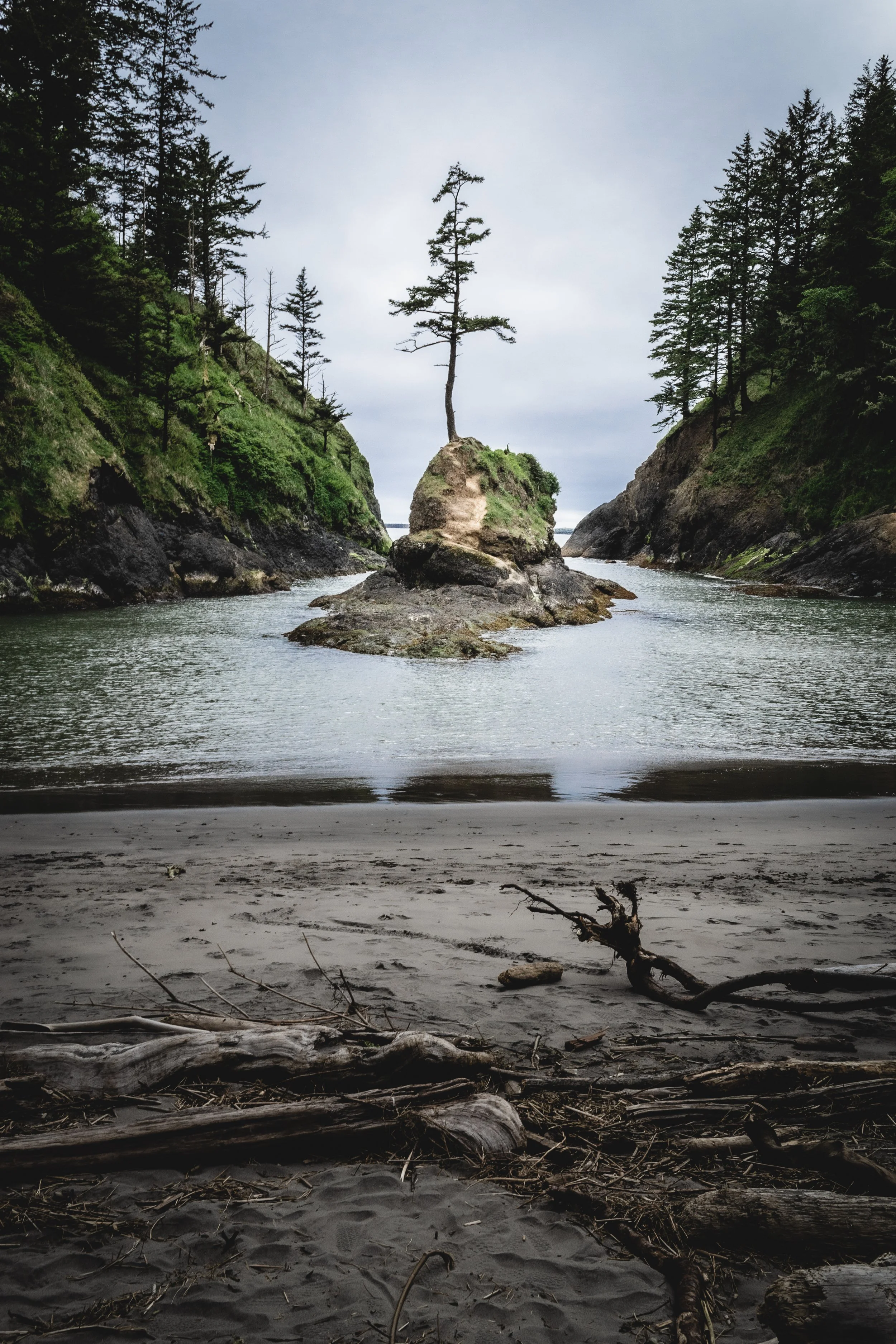 A lone evergreen tree growing on a rocky sea stack in a secluded cove along the Pacific Northwest coast – Washington coast landscape photography.