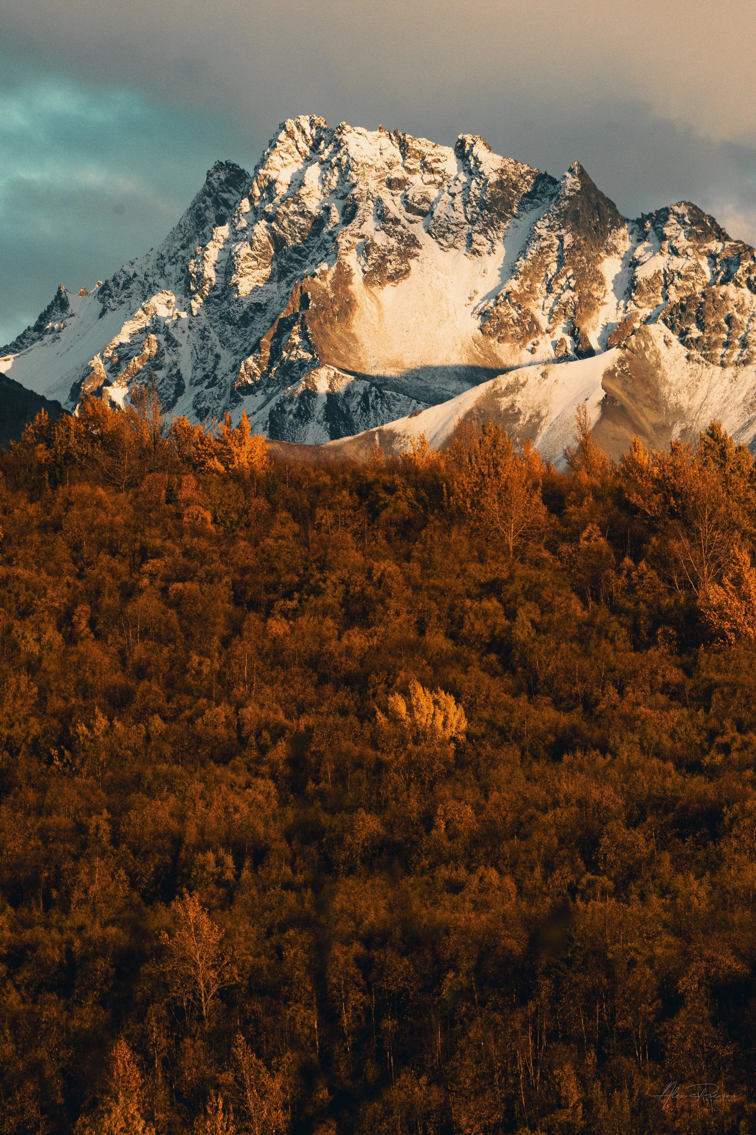 snow-dusted-alaska-peak-golden-autumn-forest.jpg