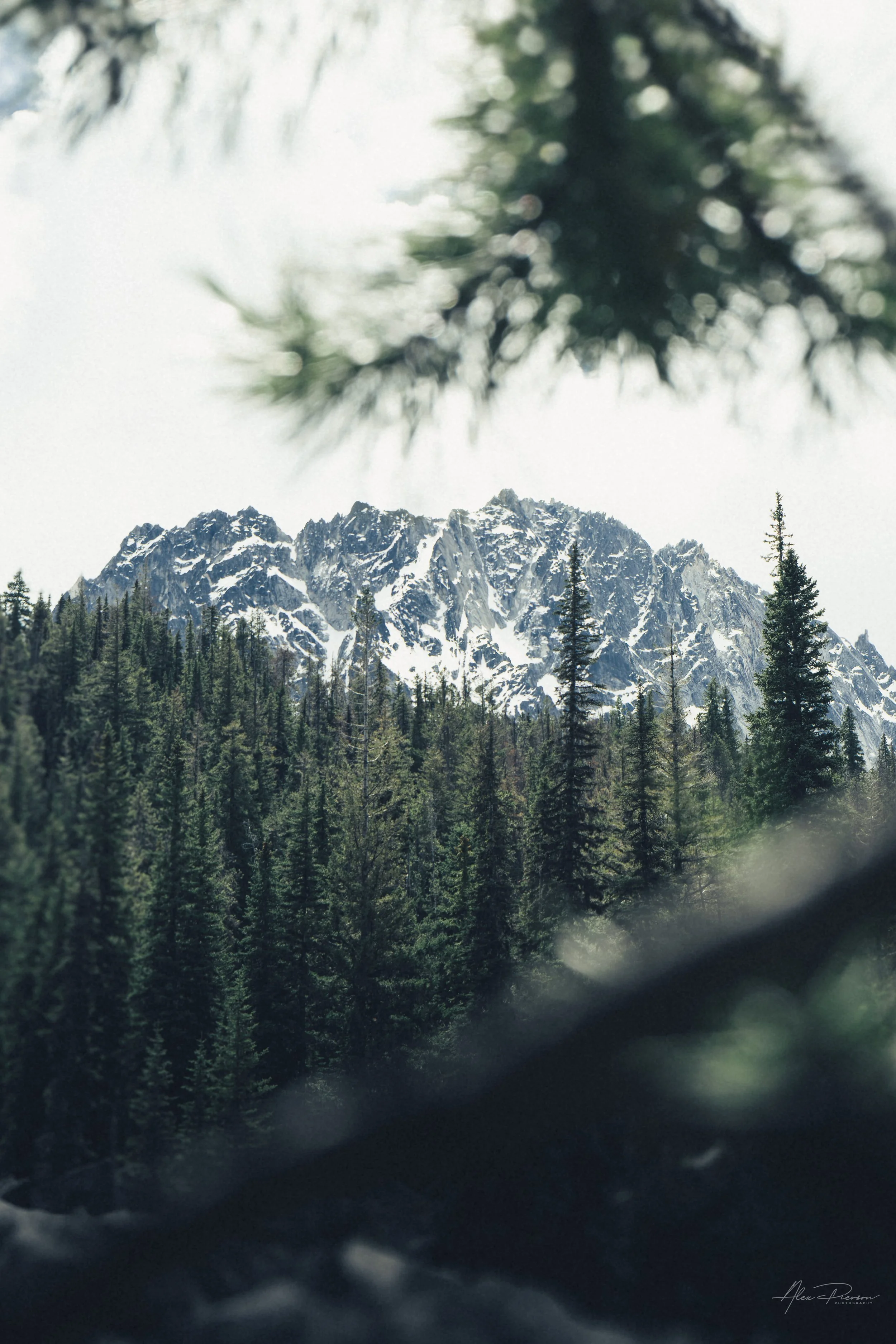 colchuck-lake-enchantments-mountain-peak-pine-framing.jpg