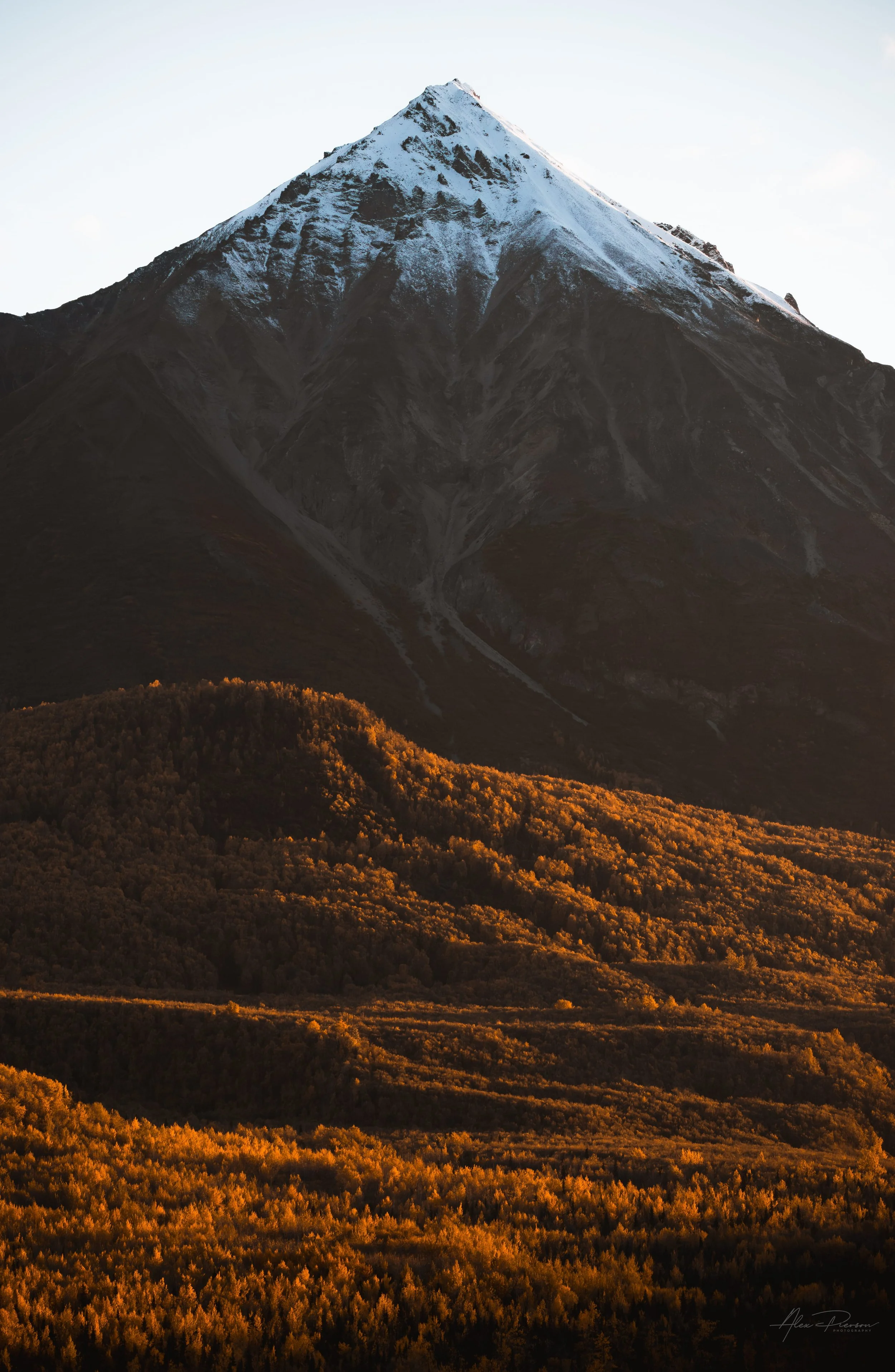 golden-hour-autumn-forest-snowy-peak-alaska.jpg