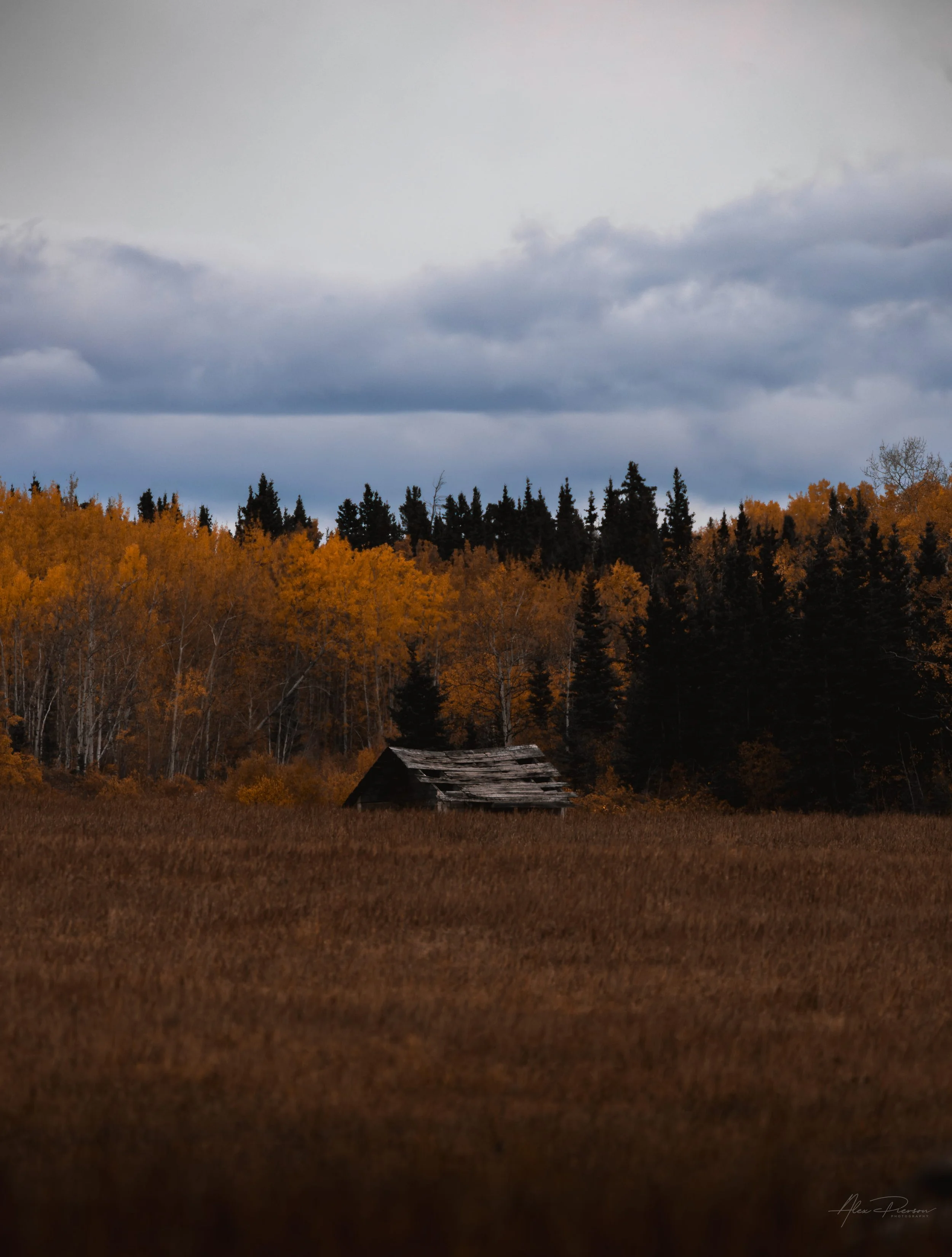 abandoned-log-cabin-alaska-highway-wilderness-alex-pierson-images.jpg
