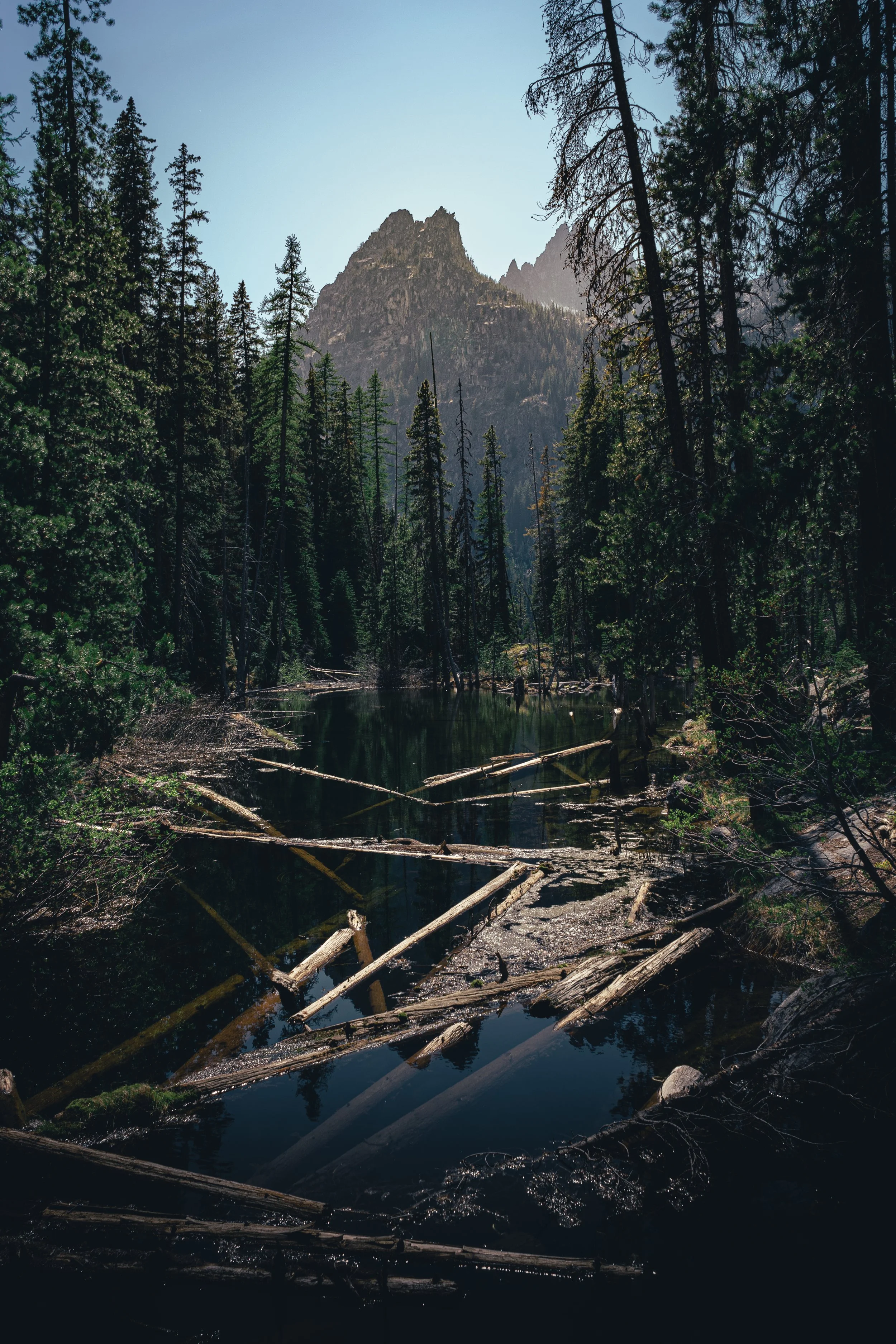 Fallen logs float in a dark alpine lake surrounded by pine trees and a sharp granite peak in The Enchantments.
The rugged alpine beauty of The Enchantments near Leavenworth, WA. Fallen timber rests in the calm, dark waters of an alpine lake, framed b