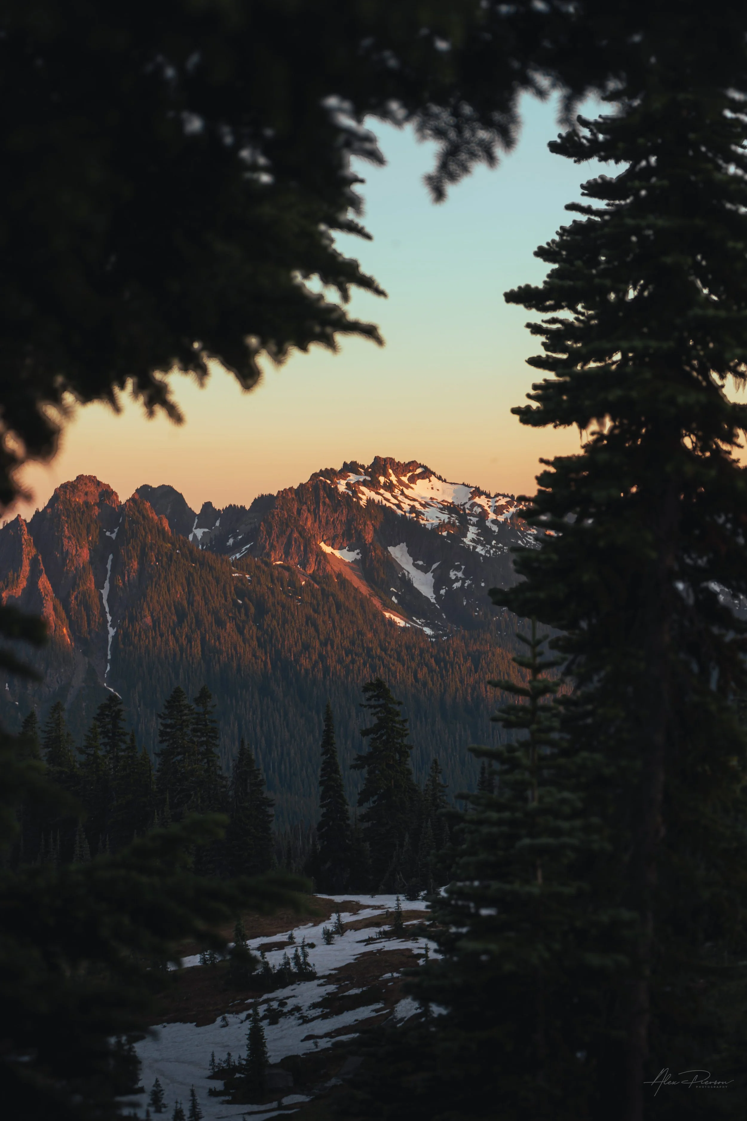 mt-rainier-tatoosh-range-framed-by-evergreen-trees-sunset.jpg