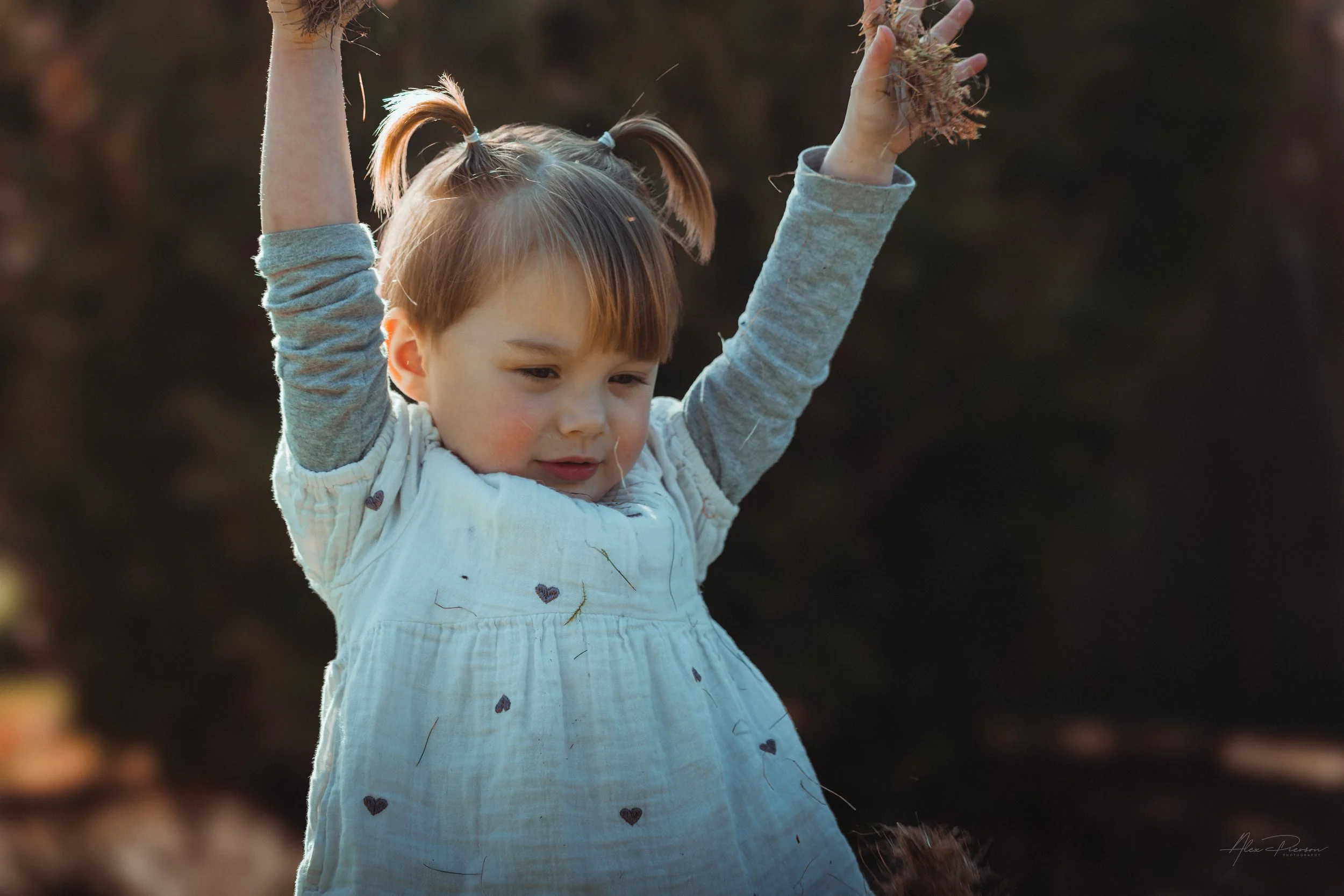 Little girl smiling and walking, throwing a handful of dead grass during a lifestyle shoot in Tumwater, WA– Pacific Northwest lifestyle family and children's photography.