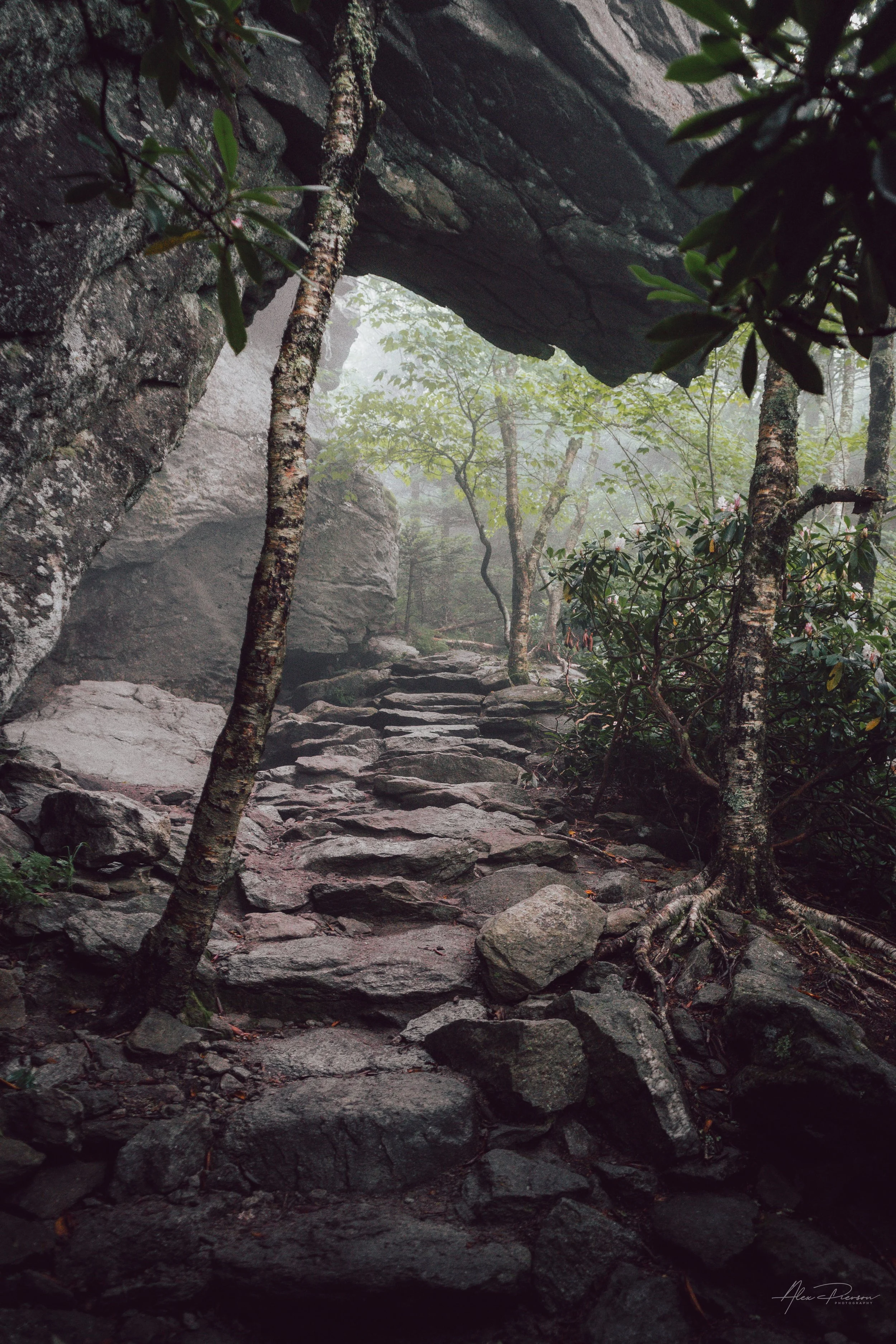 blue-ridge-mountains-nc-foggy-stone-hiking-trail.jpg