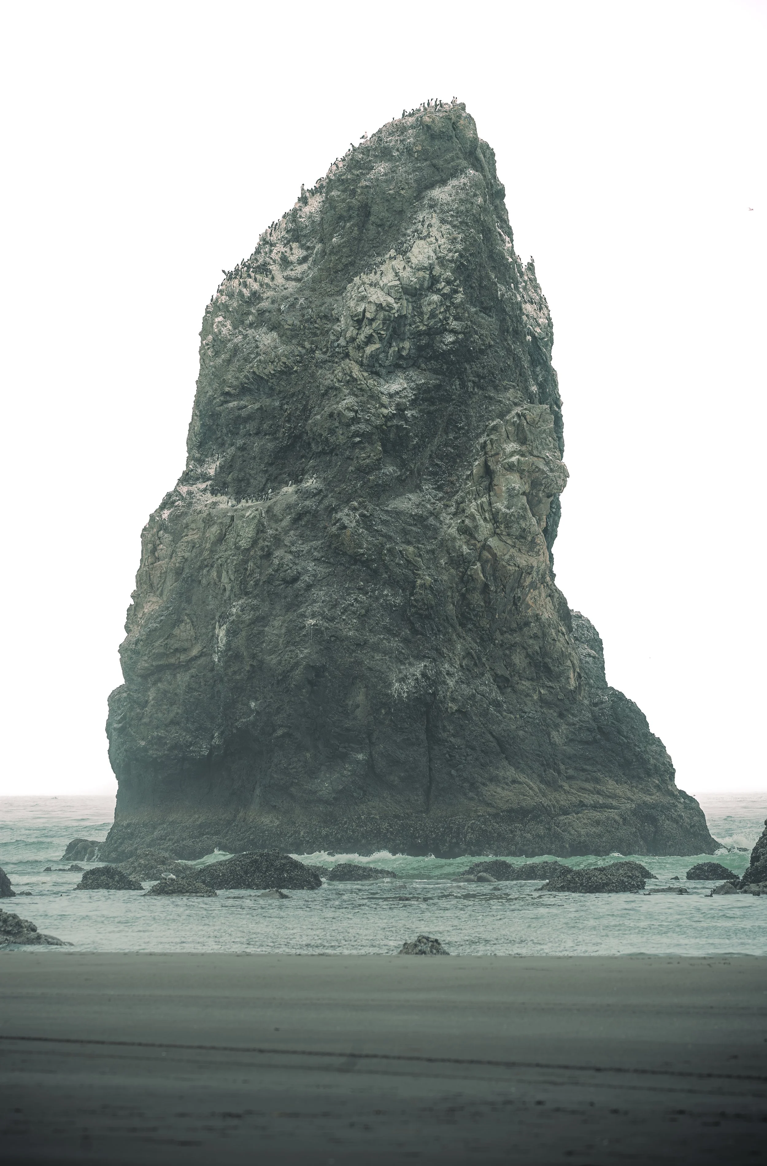 A massive coastal sea stack covered in seabirds rising from the misty ocean at Cannon Beach, Oregon.
 A dramatic, close-up view of the rugged basalt sea stacks at Cannon Beach, Oregon. The towering rock formation is completely enveloped in a dense, m