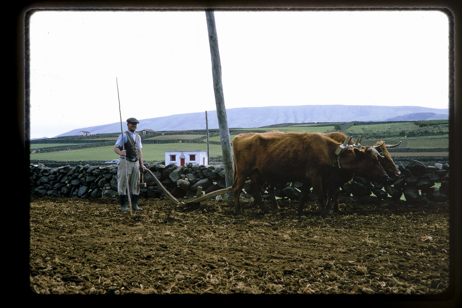 DA_Slide_8-0258.jpg